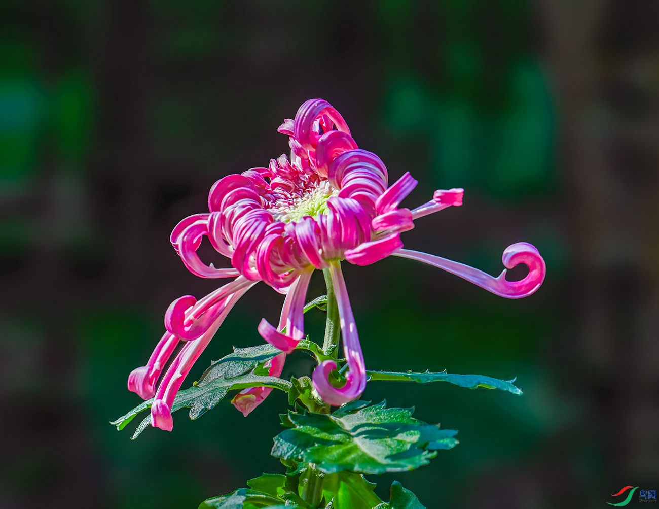 00000IMG_5589 ����ʿ 800k.jpg