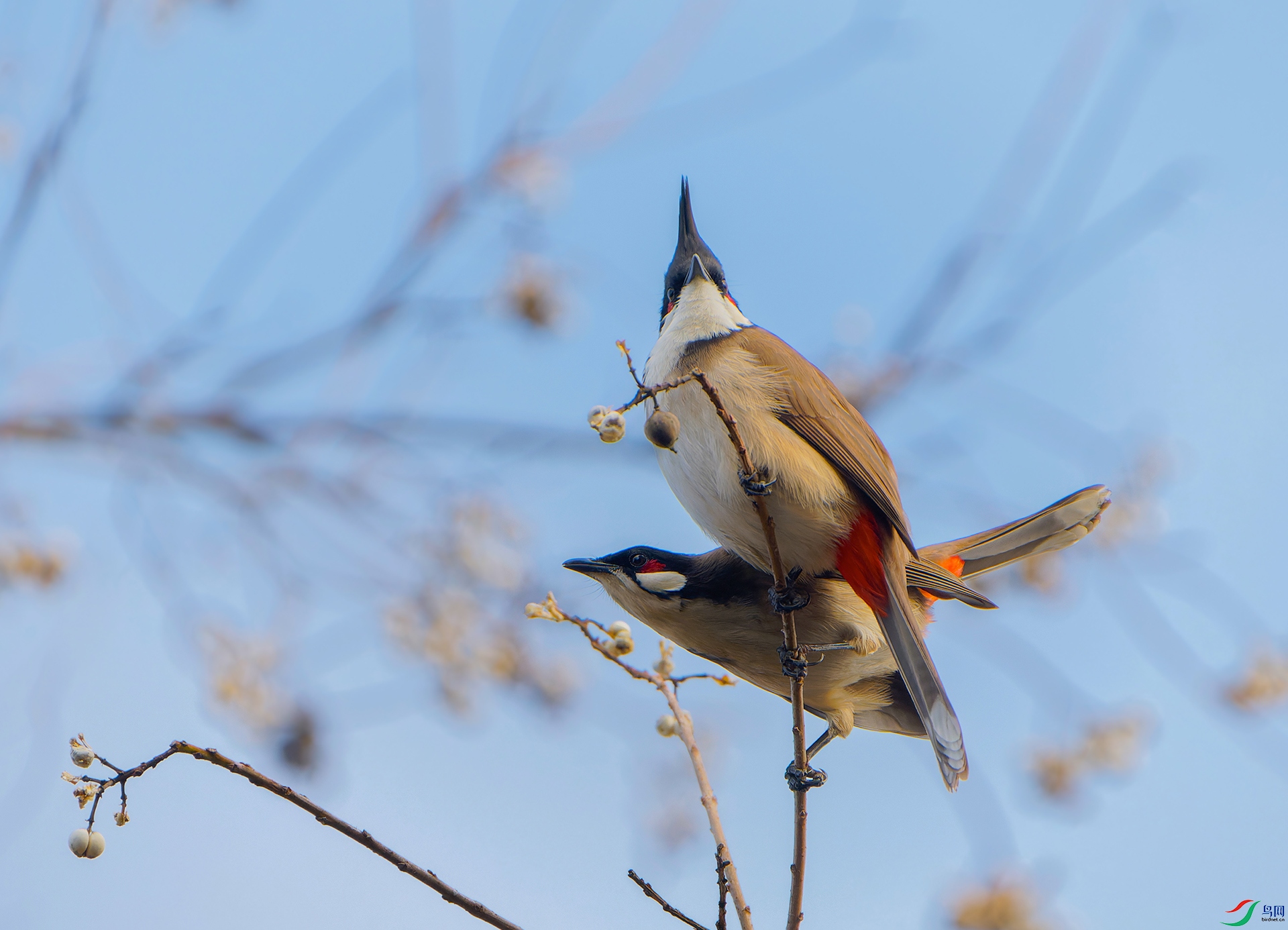 DSC05661-ARW ����.jpg