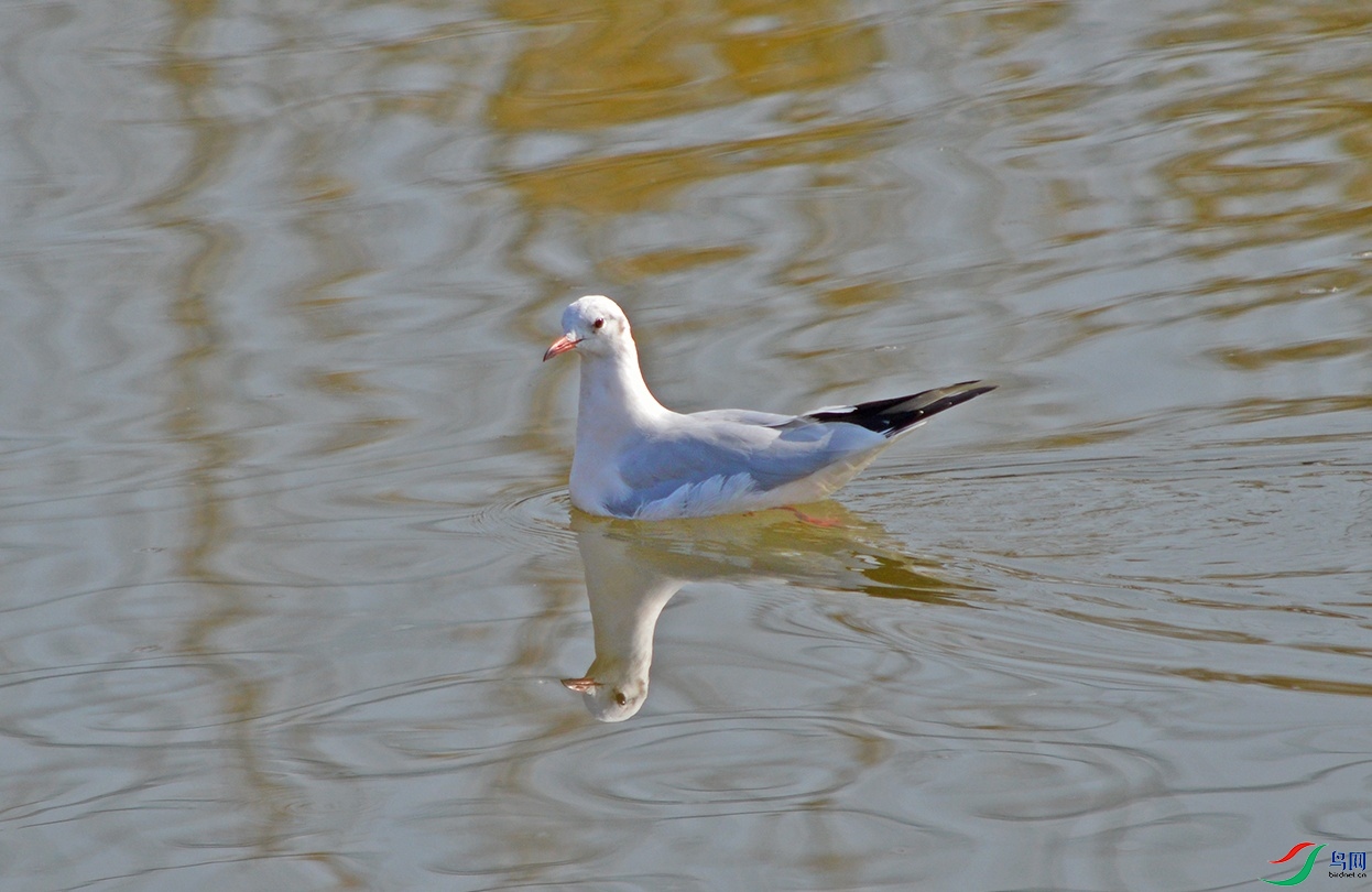DSC_0571.jpg