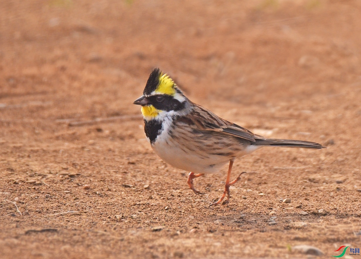 DSC_3484.jpg