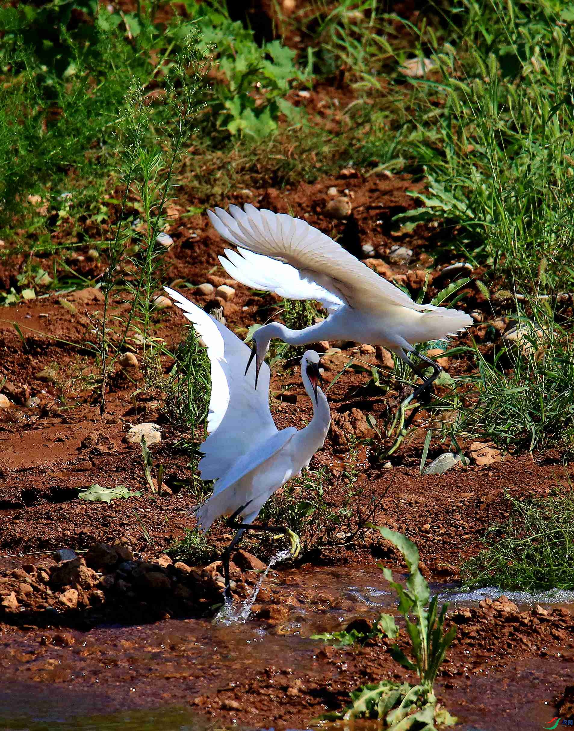 Canon EOS 5D Mark III_20190815_142258_����.jpg