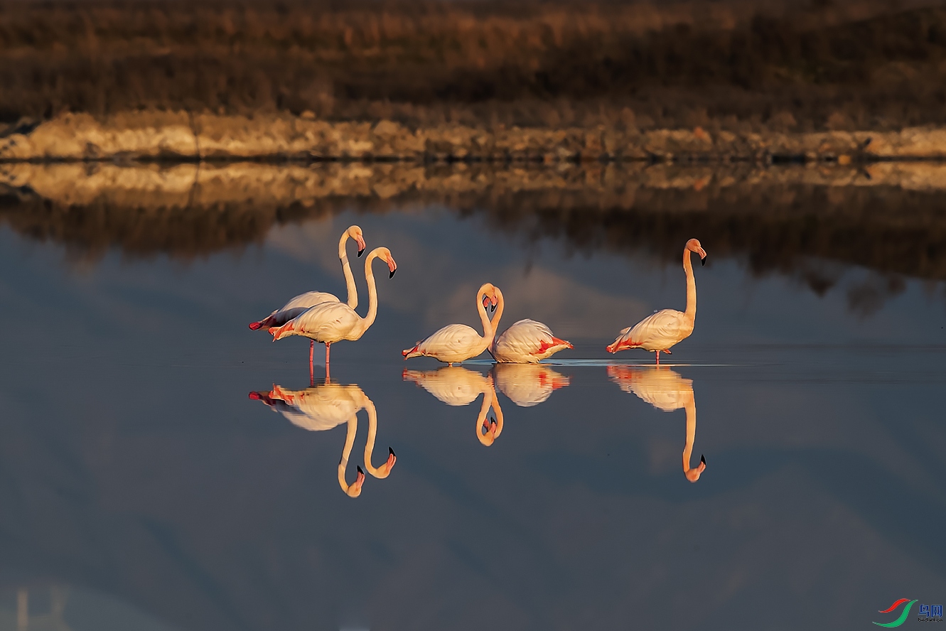 ��ˮӳ����