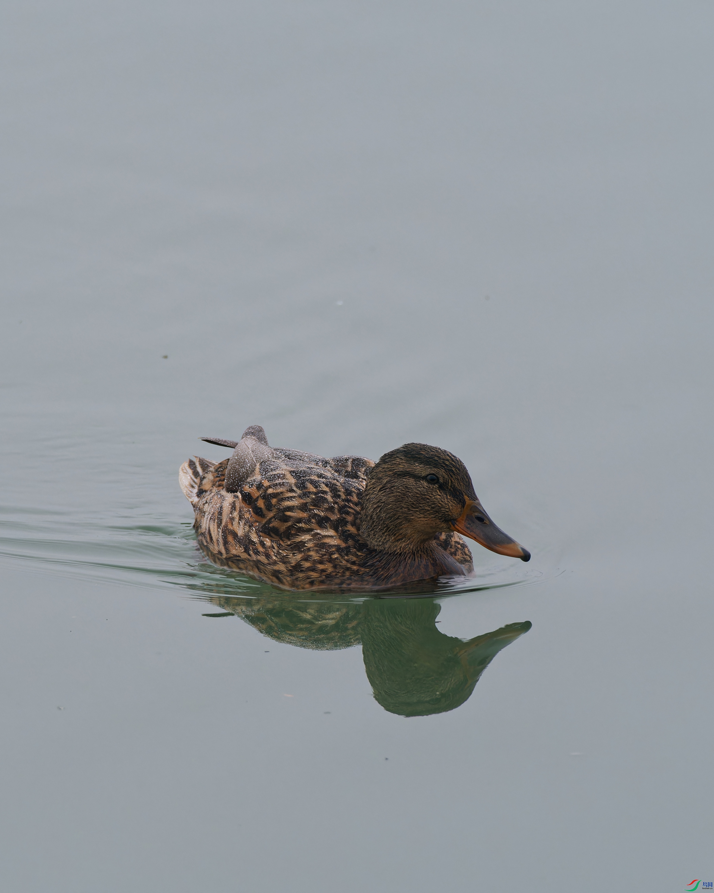 P2080061_DxO_DxO.jpg