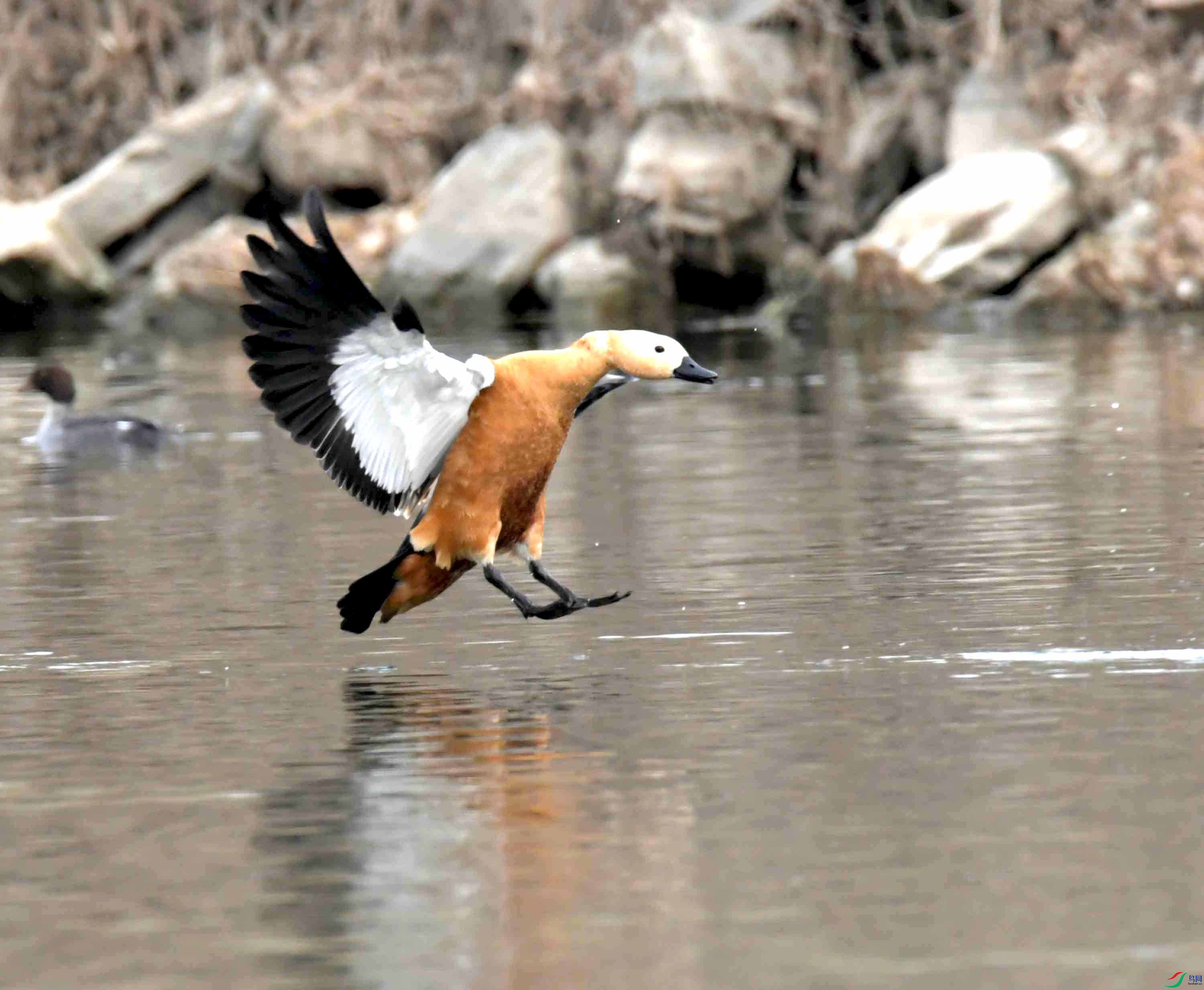 DSC_9343.JPG