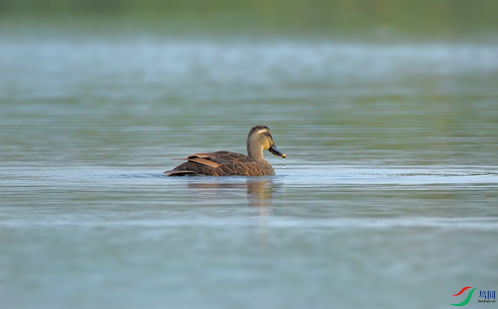 DSC_0640_��ͼ��.jpg