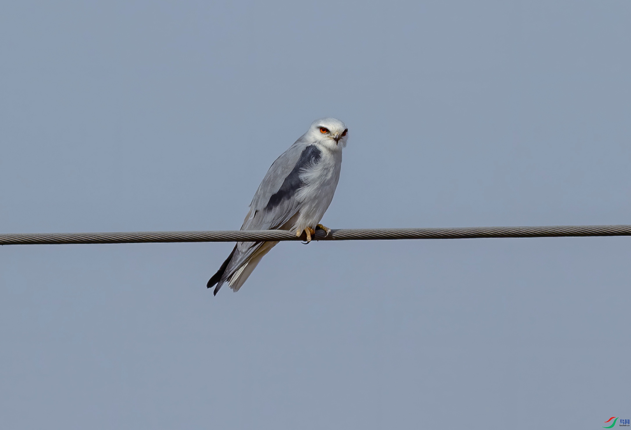 K7D05923.jpg