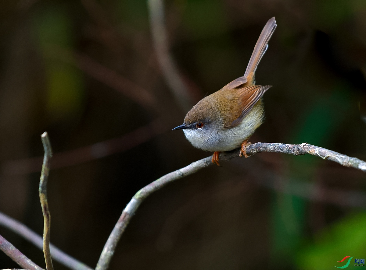 DSC_4971.JPG