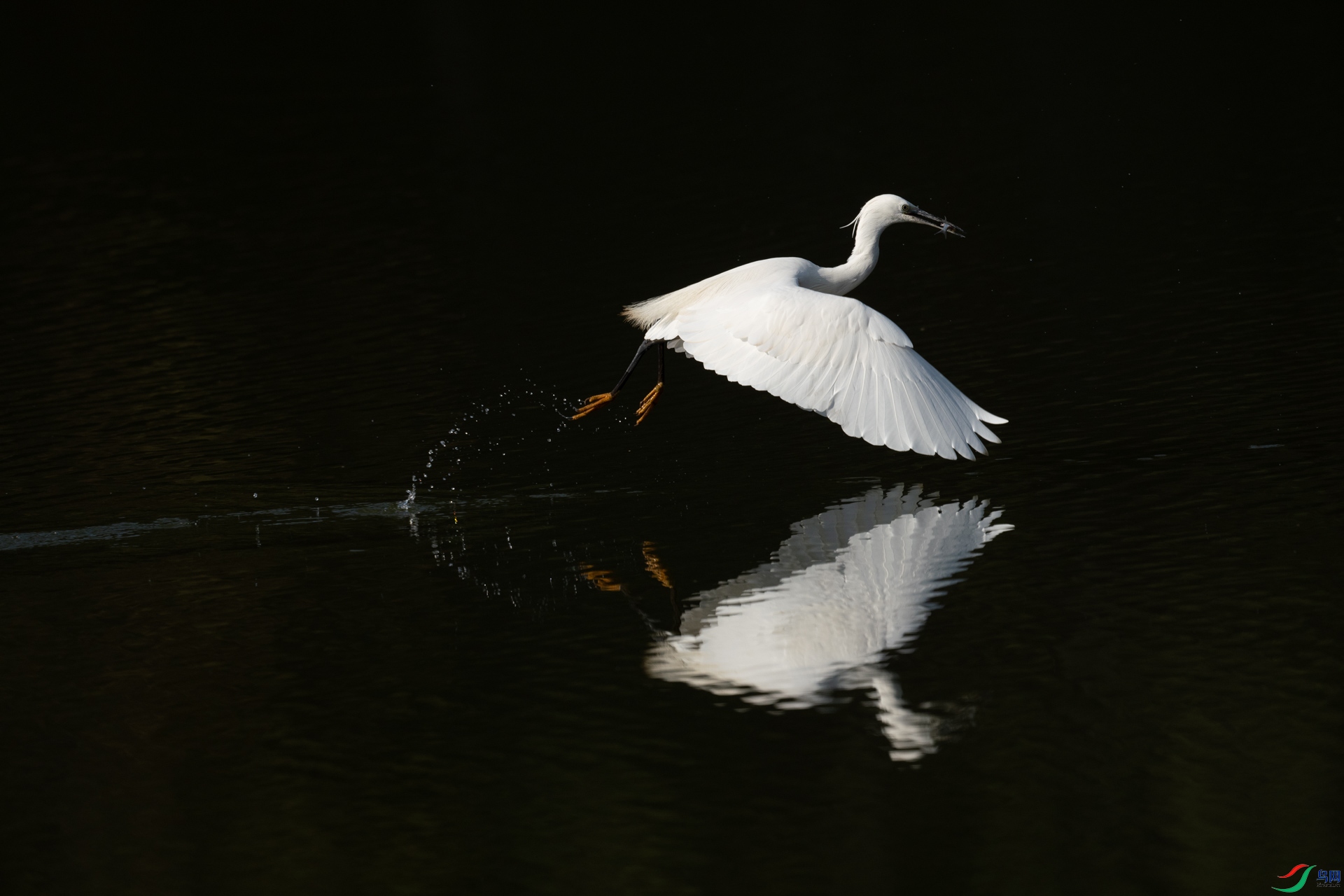 DSC_9374.jpg