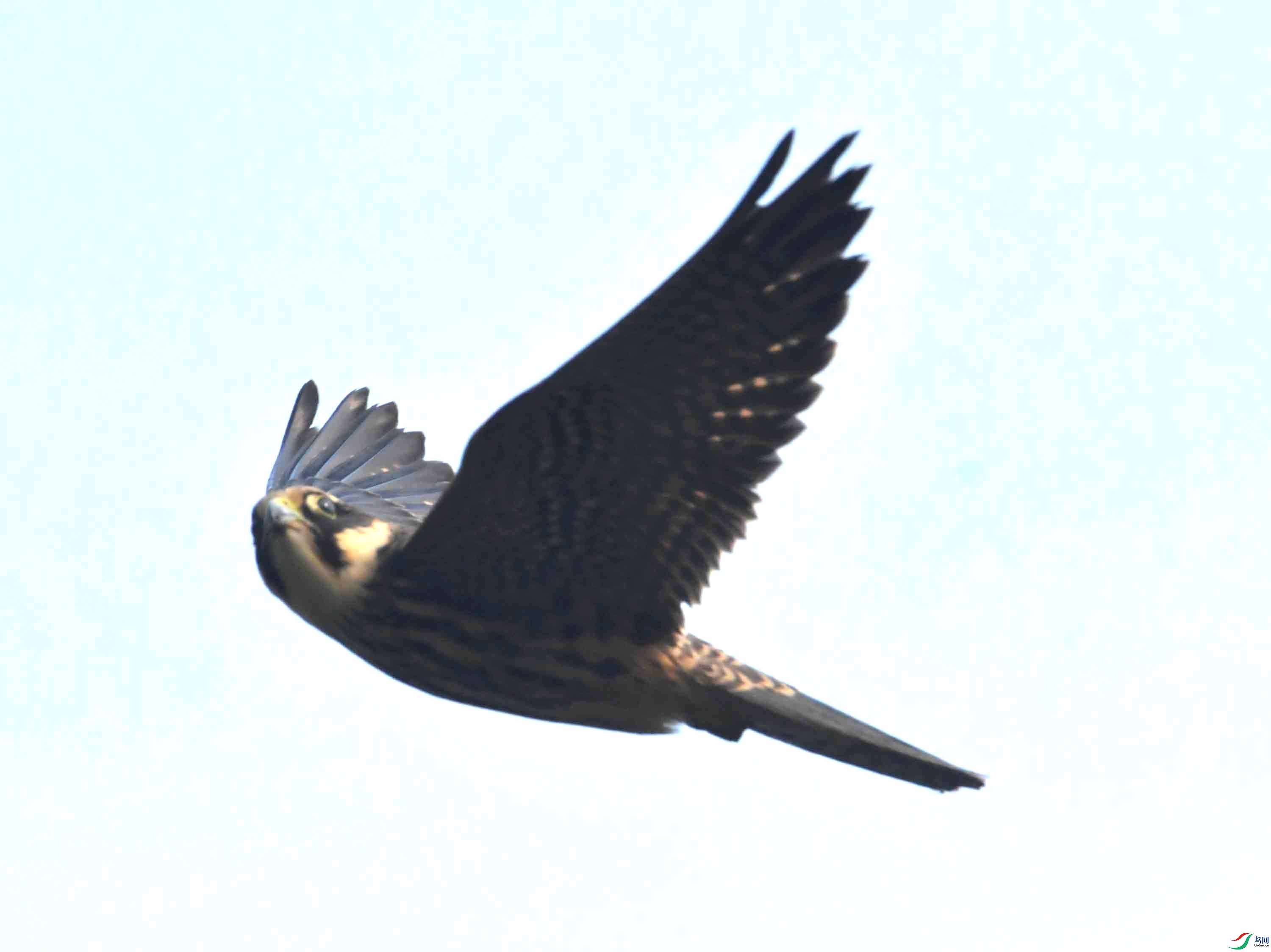 DSC_6728.JPG