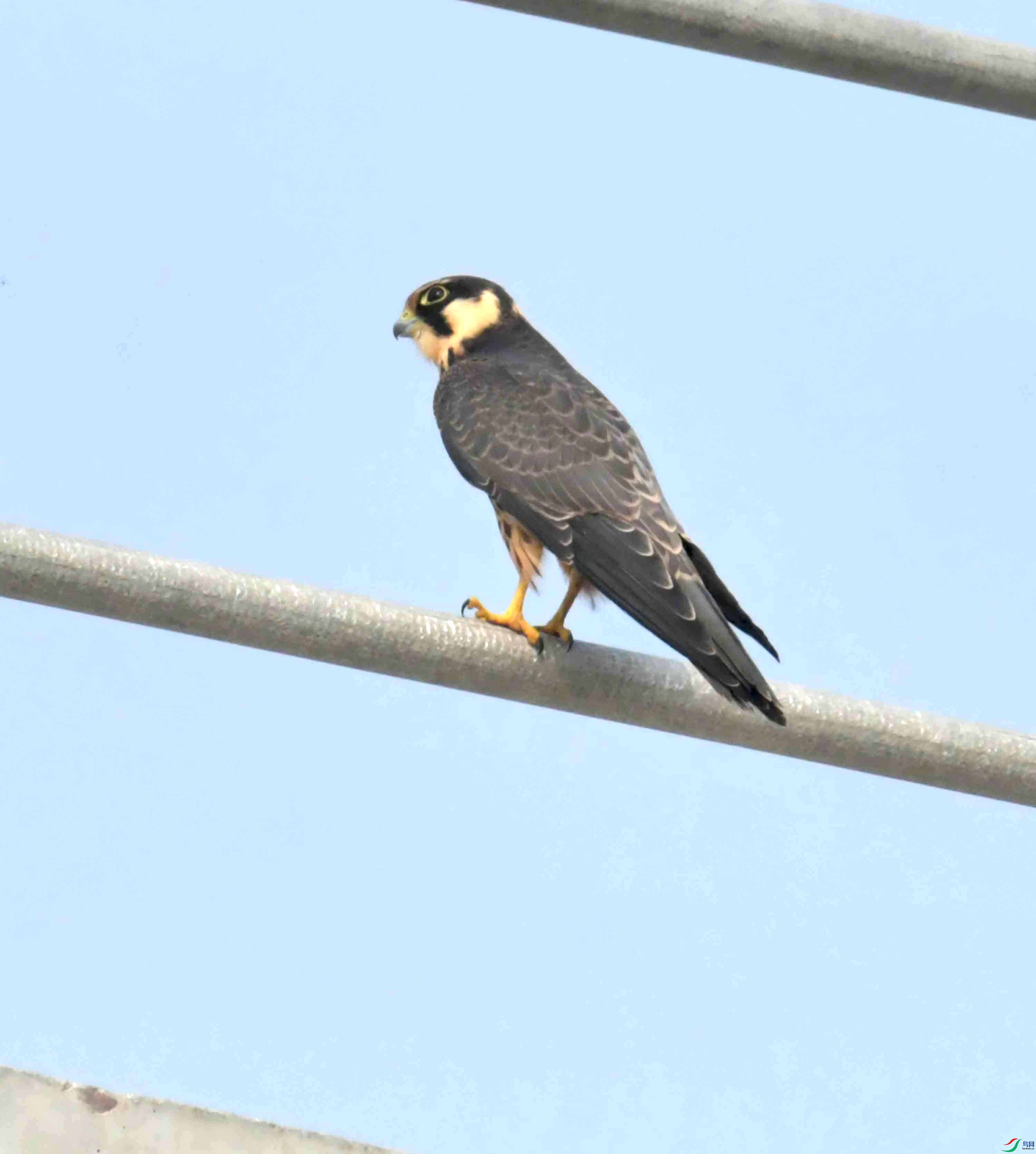 DSC_6754.JPG