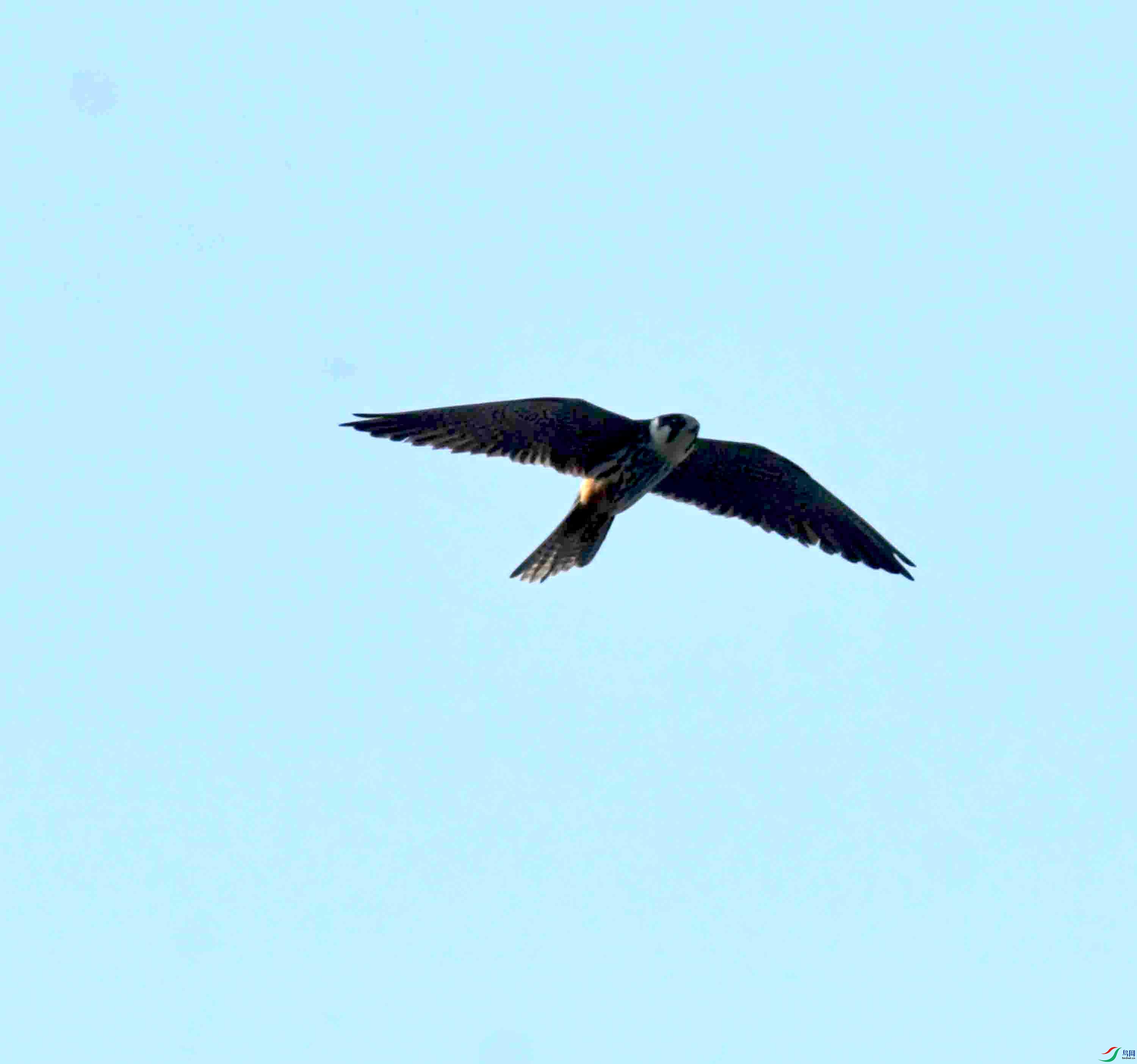 DSC_7871.JPG