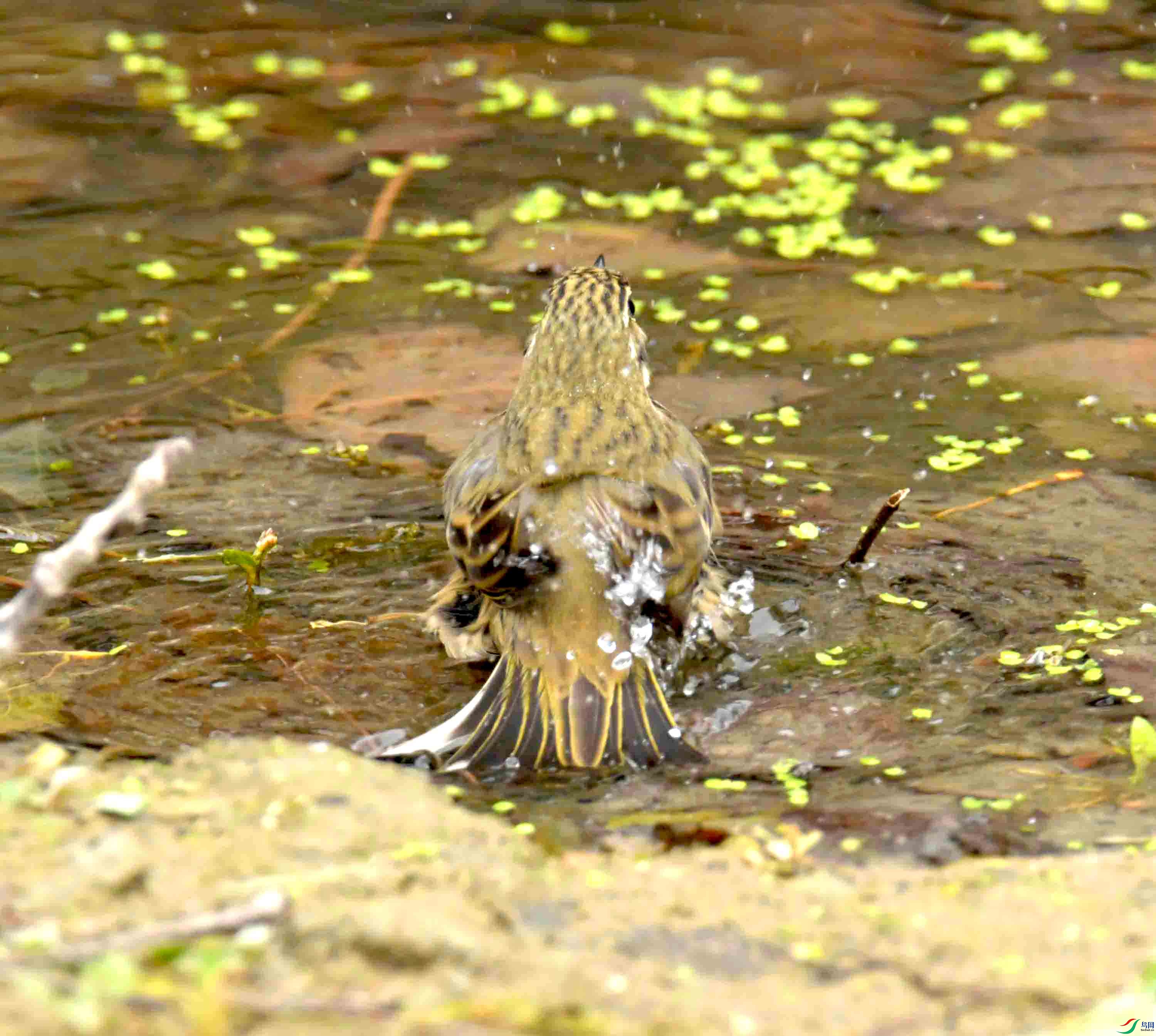 DSC_1360.JPG