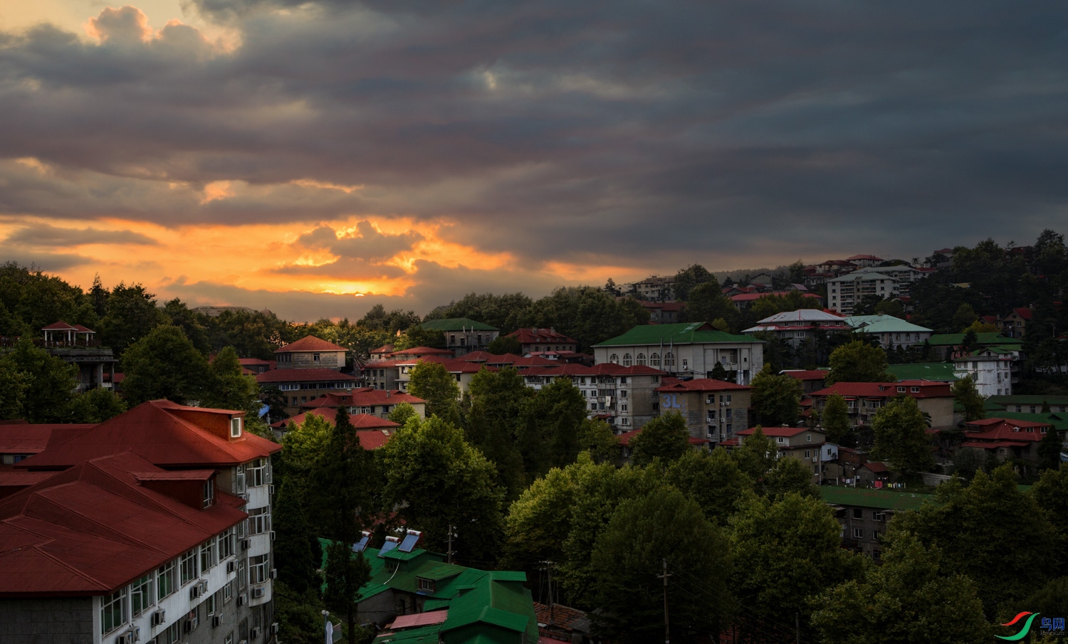 _V4C3953 ���� 2.jpg