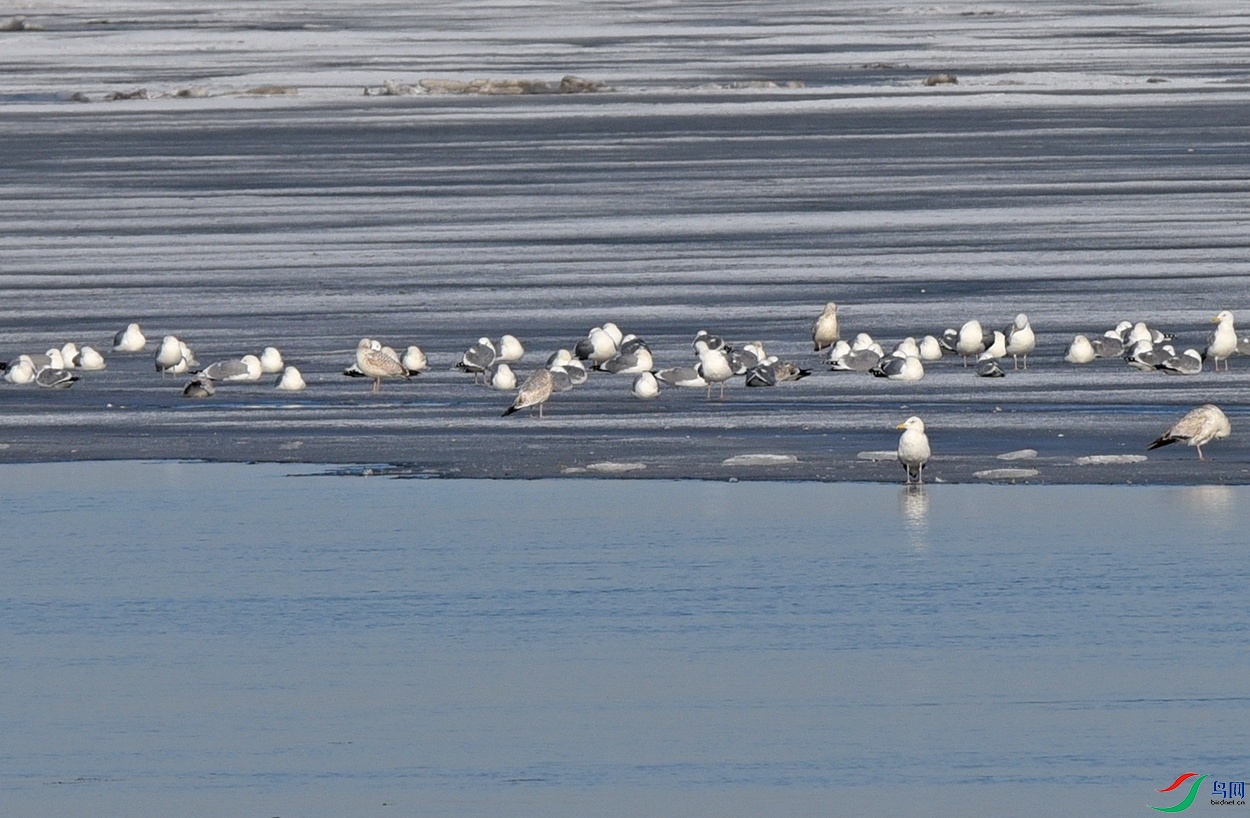 DSC_2562.jpg