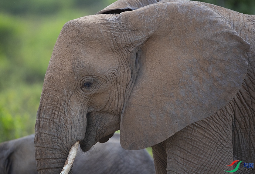 ���޴��� (2).jpg