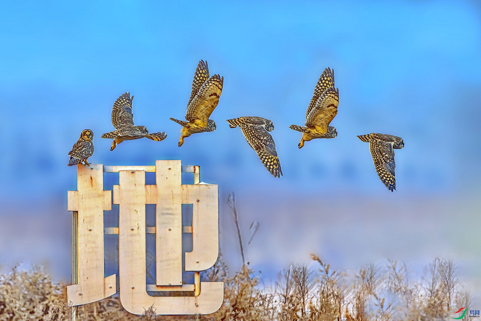 23GH9588-5 ����-1 ����_������С.jpg