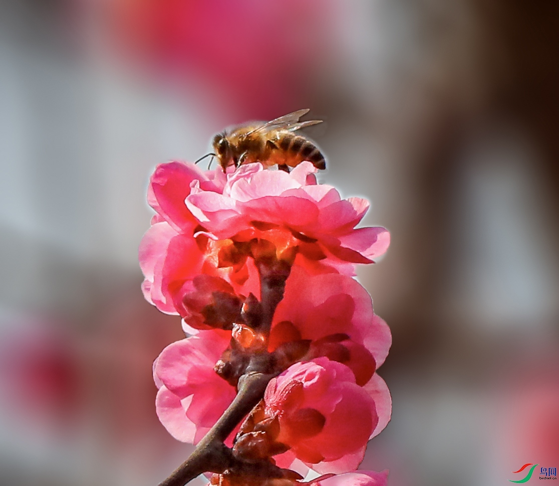 00000IMG_1531 ����1248���� ����.jpg