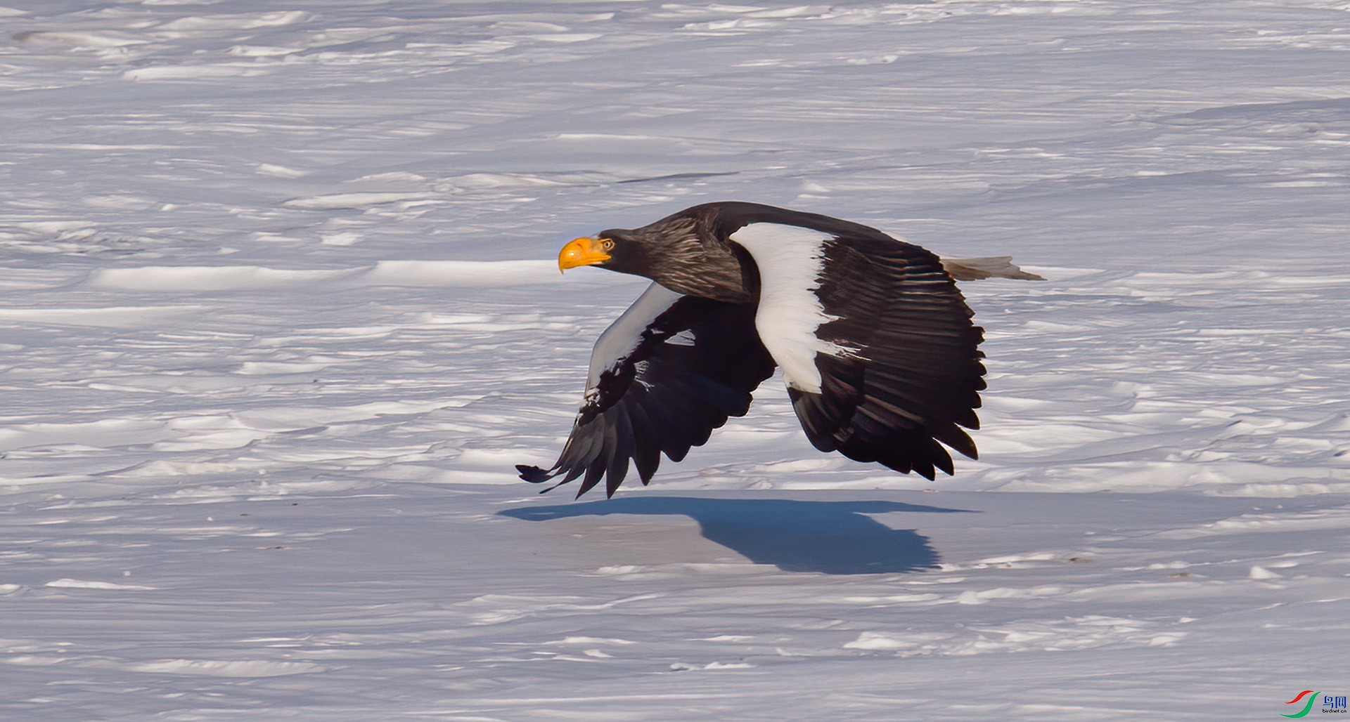 DSC_8425.jpg