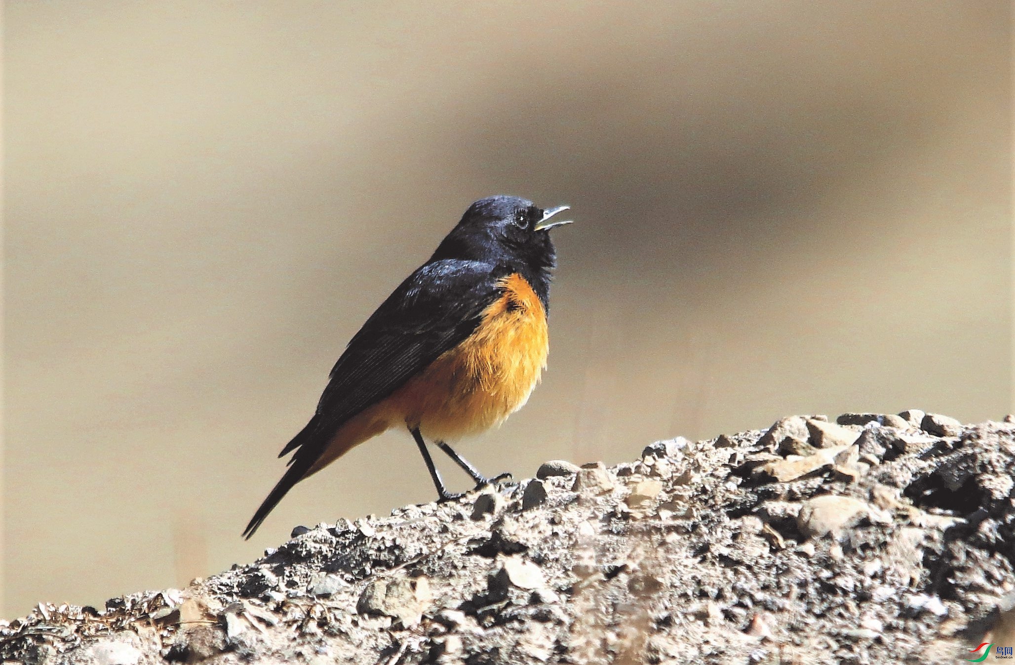 ����β� (7).JPG