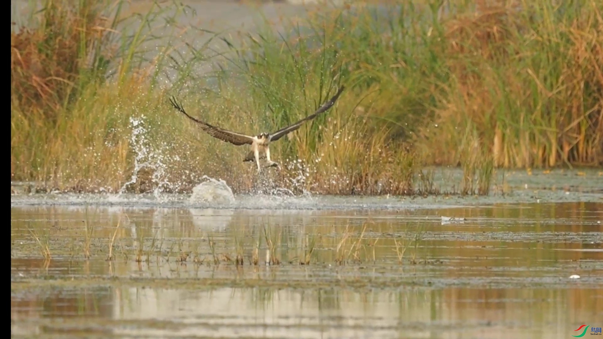 10��14�� (1) - frame at 0m11s.jpg