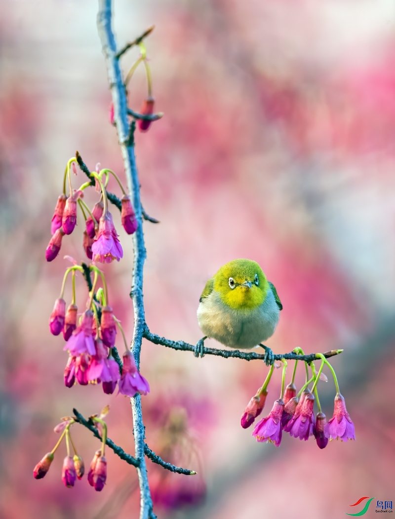 A65I6509 ����.jpg