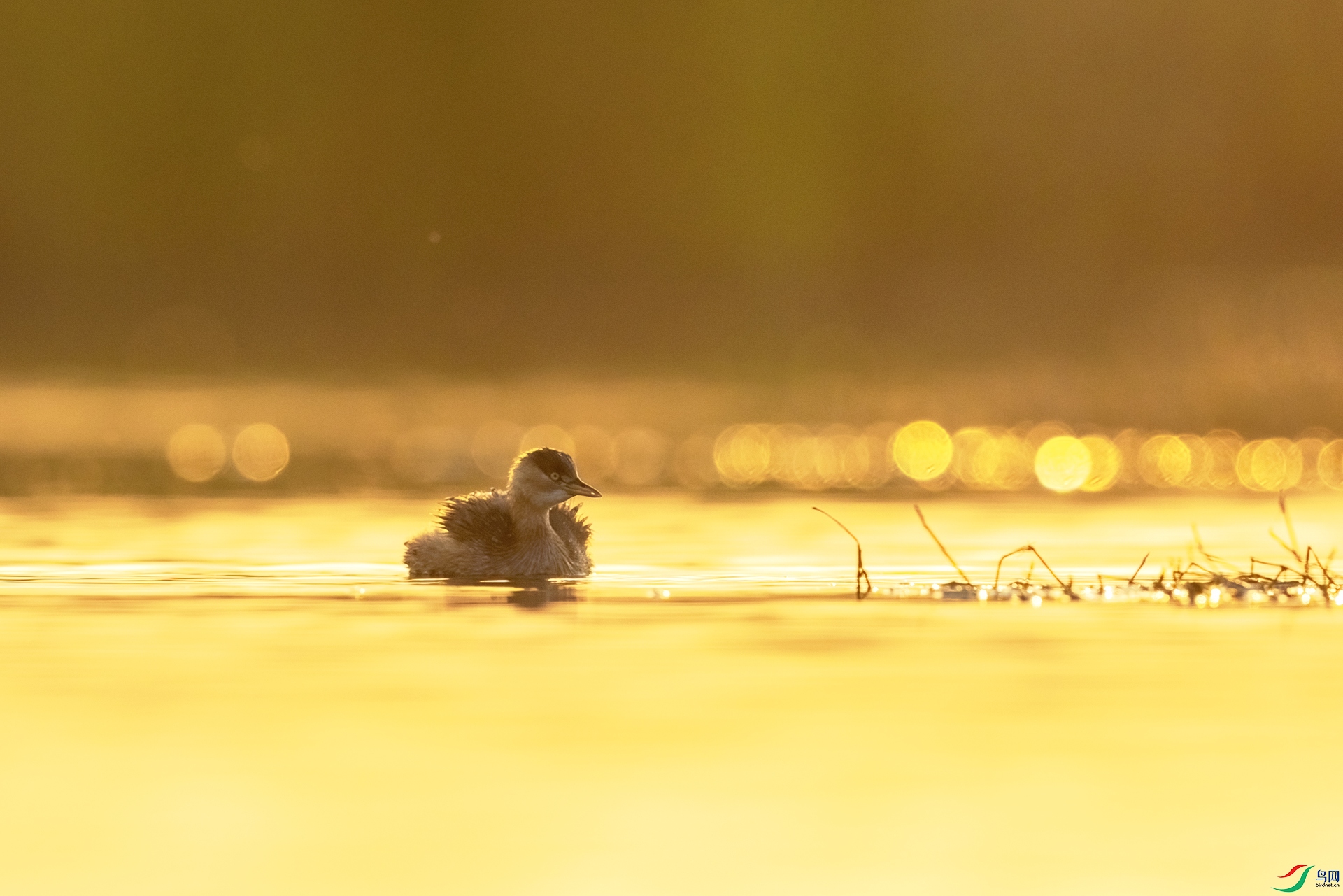 A75A0193-�༭ ����.jpg