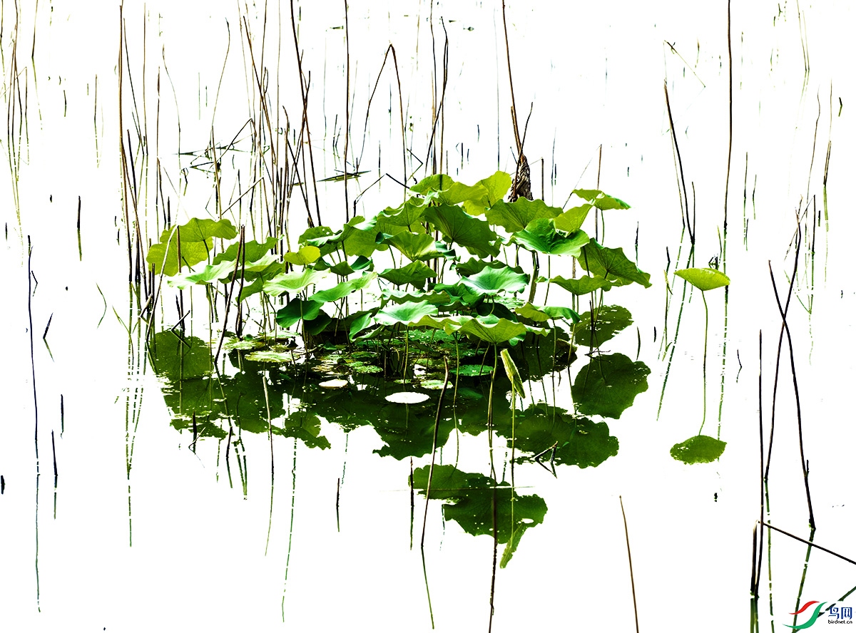 DSCF7233 ���� 2.jpg