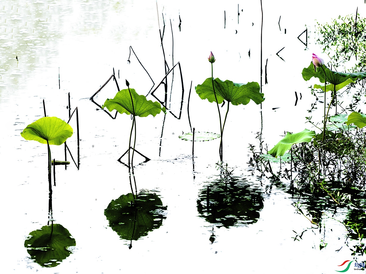 DSCF7222 ���� 3.jpg