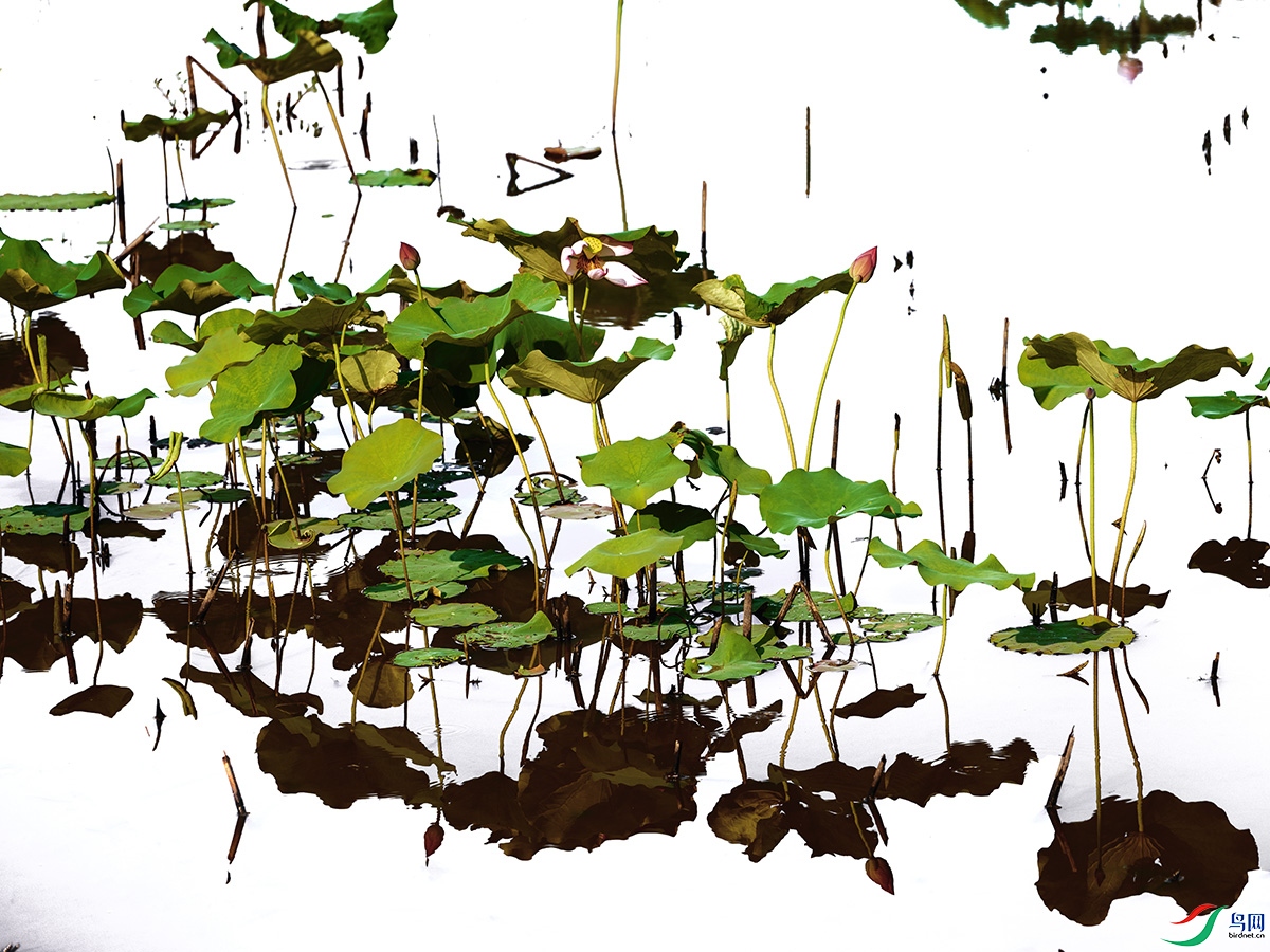 DSCF7263 ���� 3.jpg