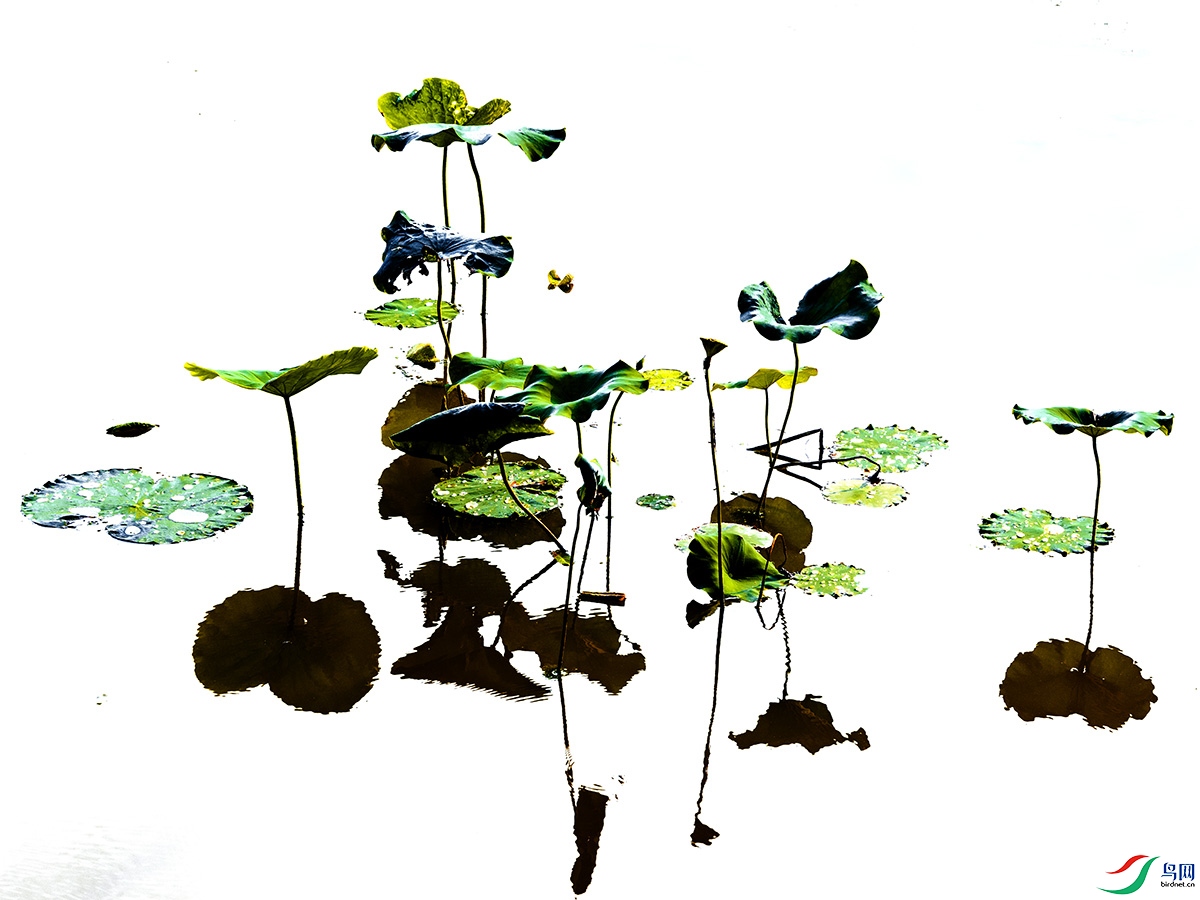 DSCF7376 ���� 3.jpg