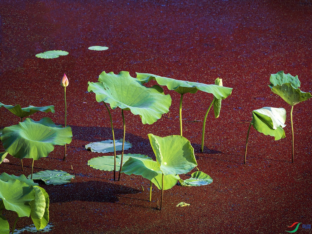 DSCF7389 ���� 3.jpg