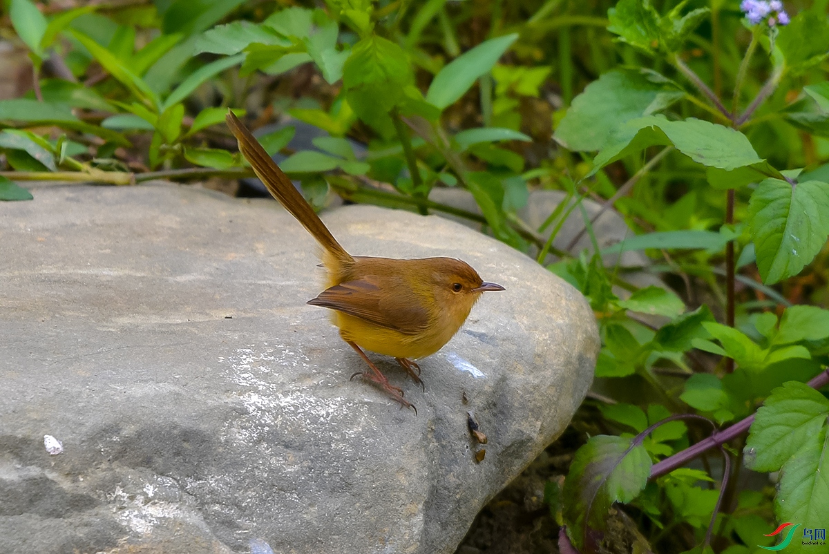 DSC_3866.JPG