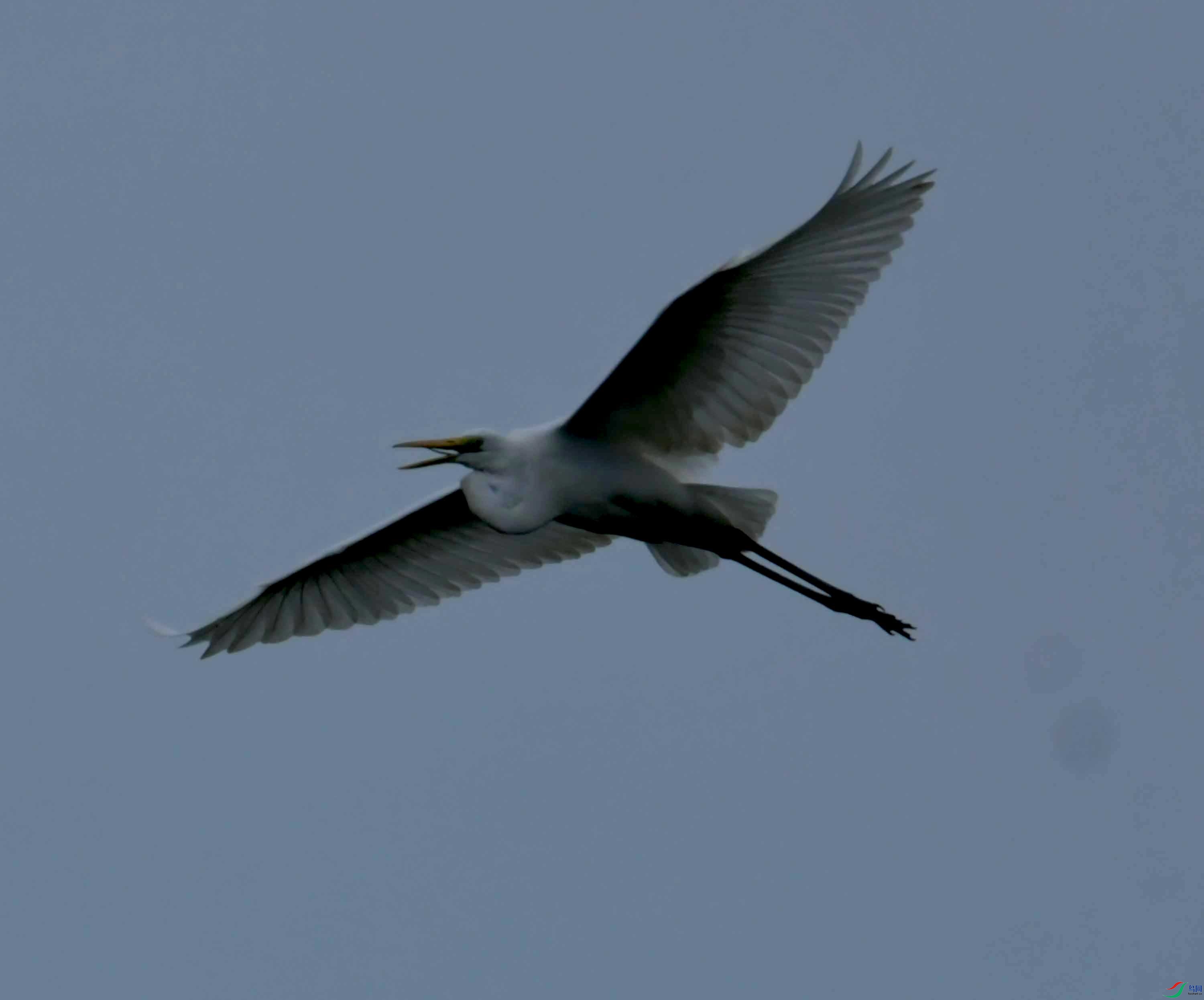 DSC_0757.JPG