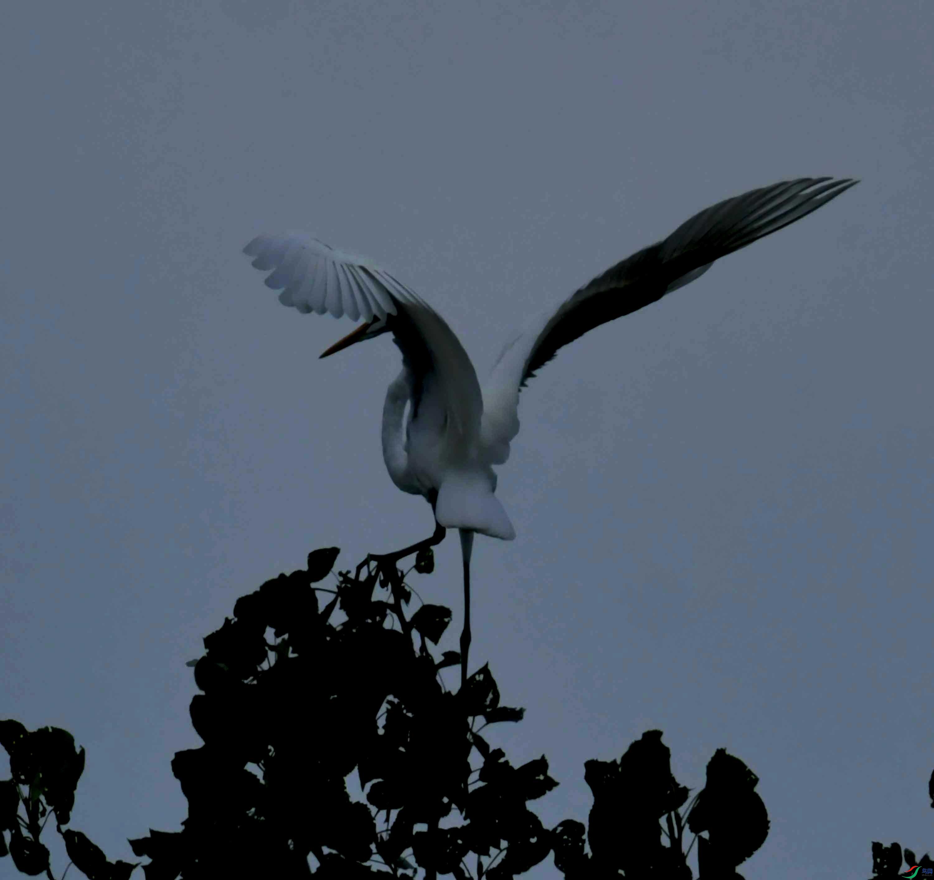 DSC_0759.JPG