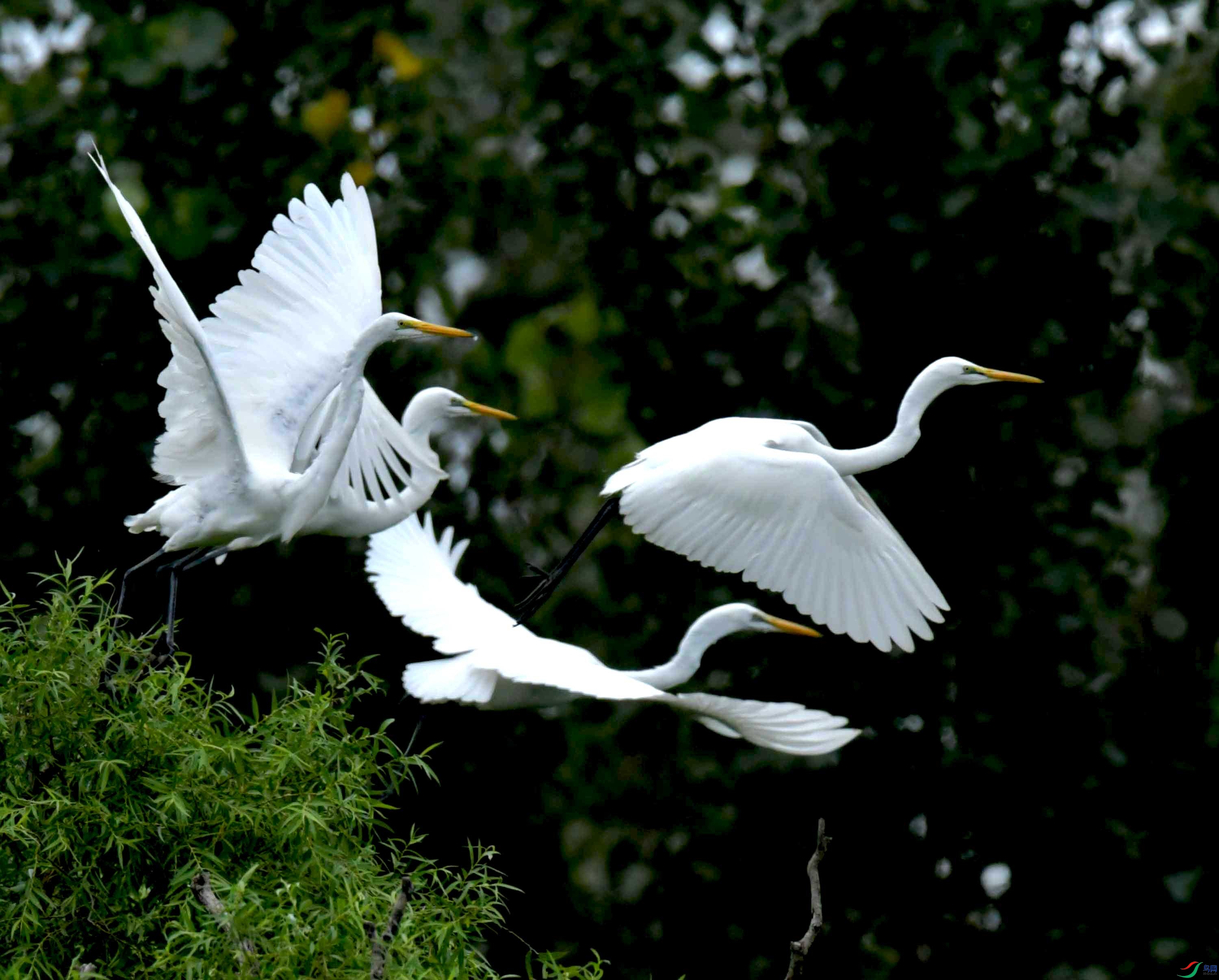 DSC_0764.JPG