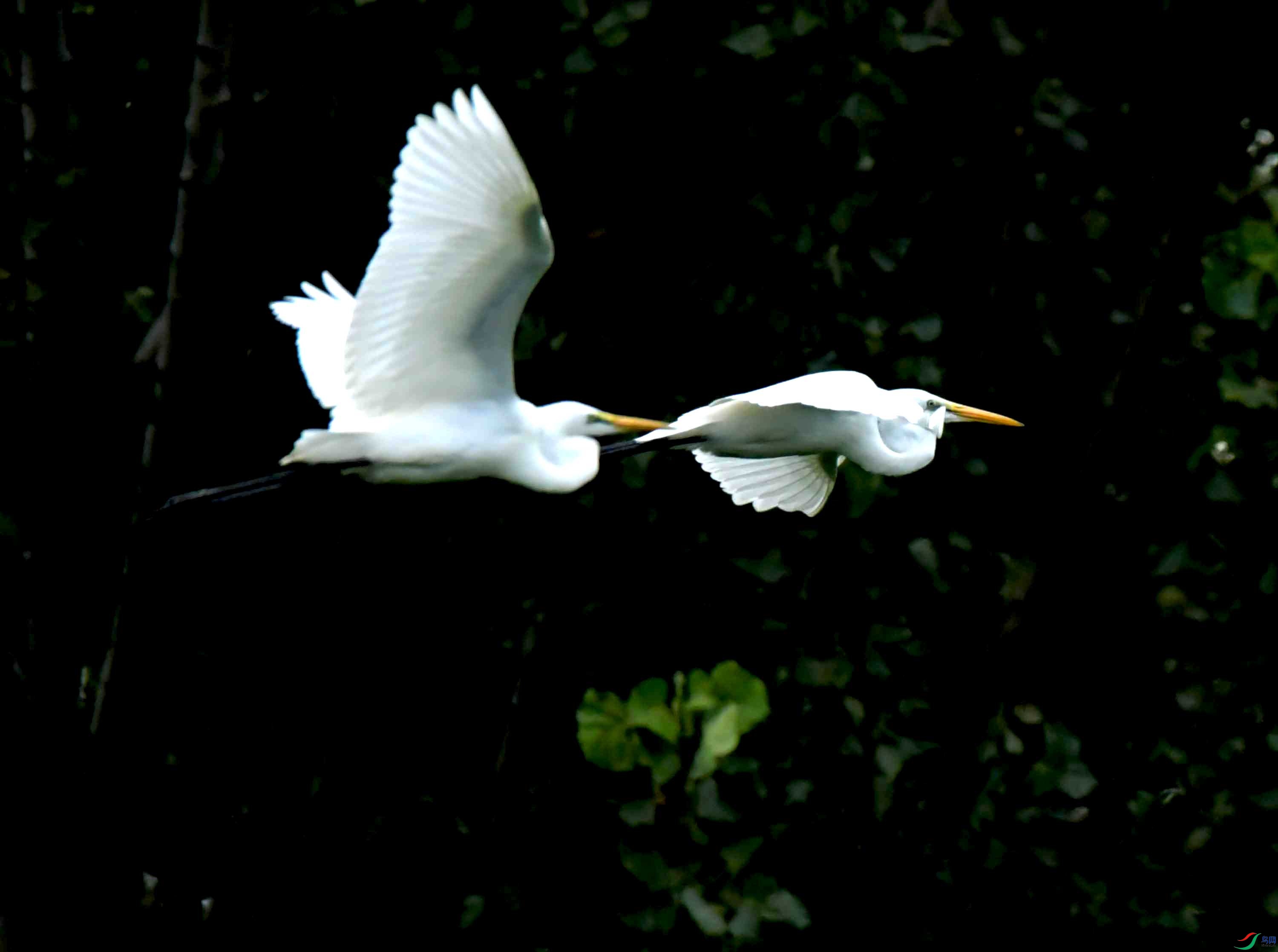 DSC_0768.JPG