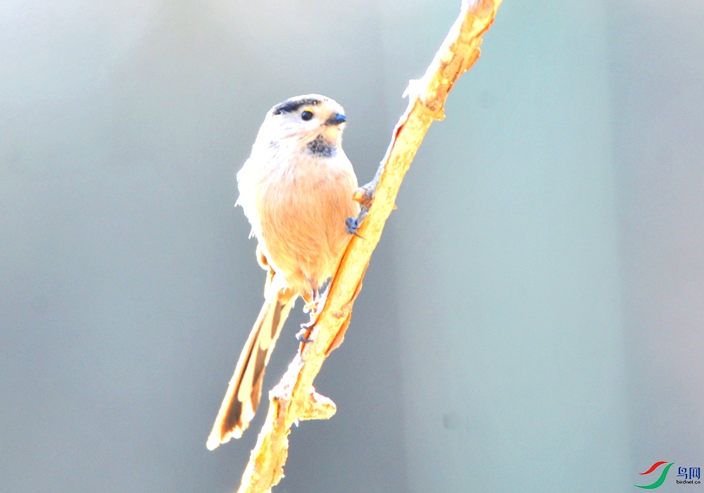 DSC_1164.JPG
