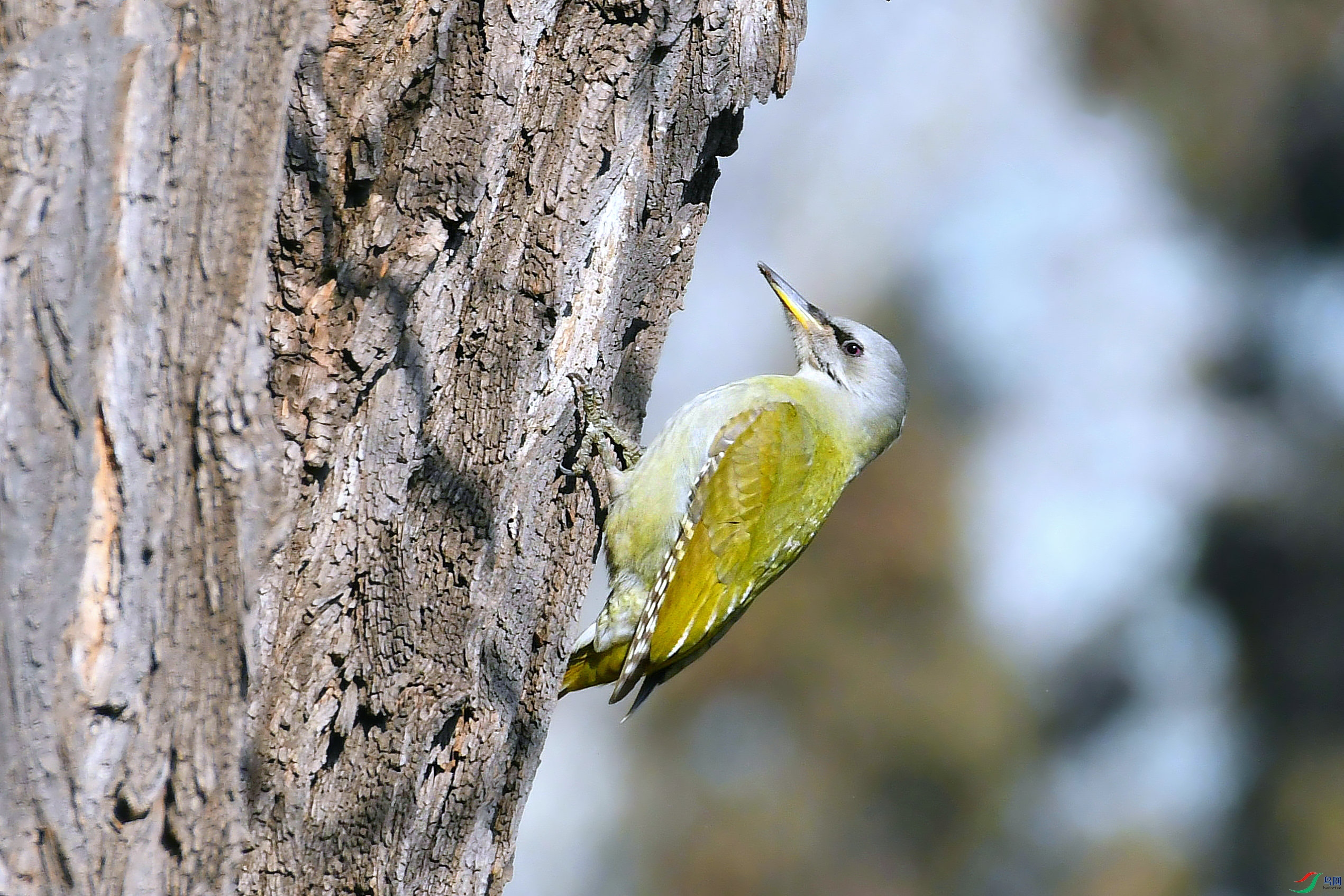 DSC_1687.JPG