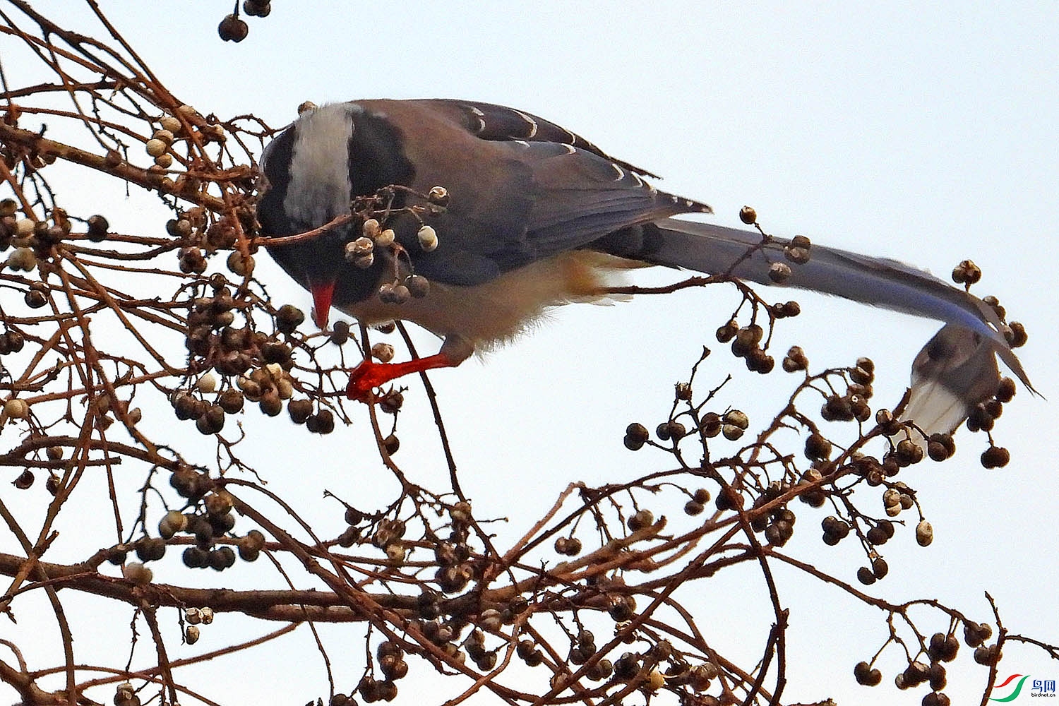 DSCN2974.jpg