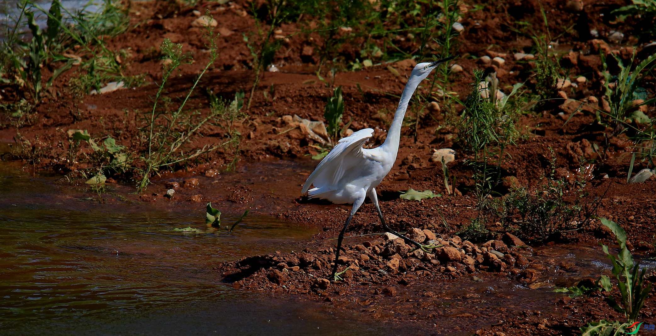 Canon EOS 5D Mark III_20190815_142257_����.jpg