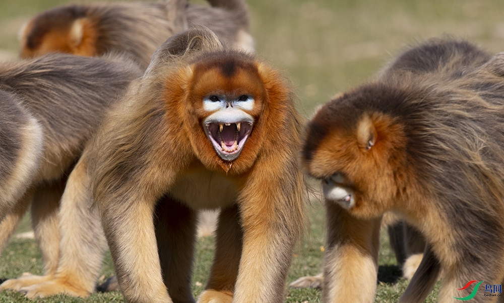 ��˿�� (2).jpg