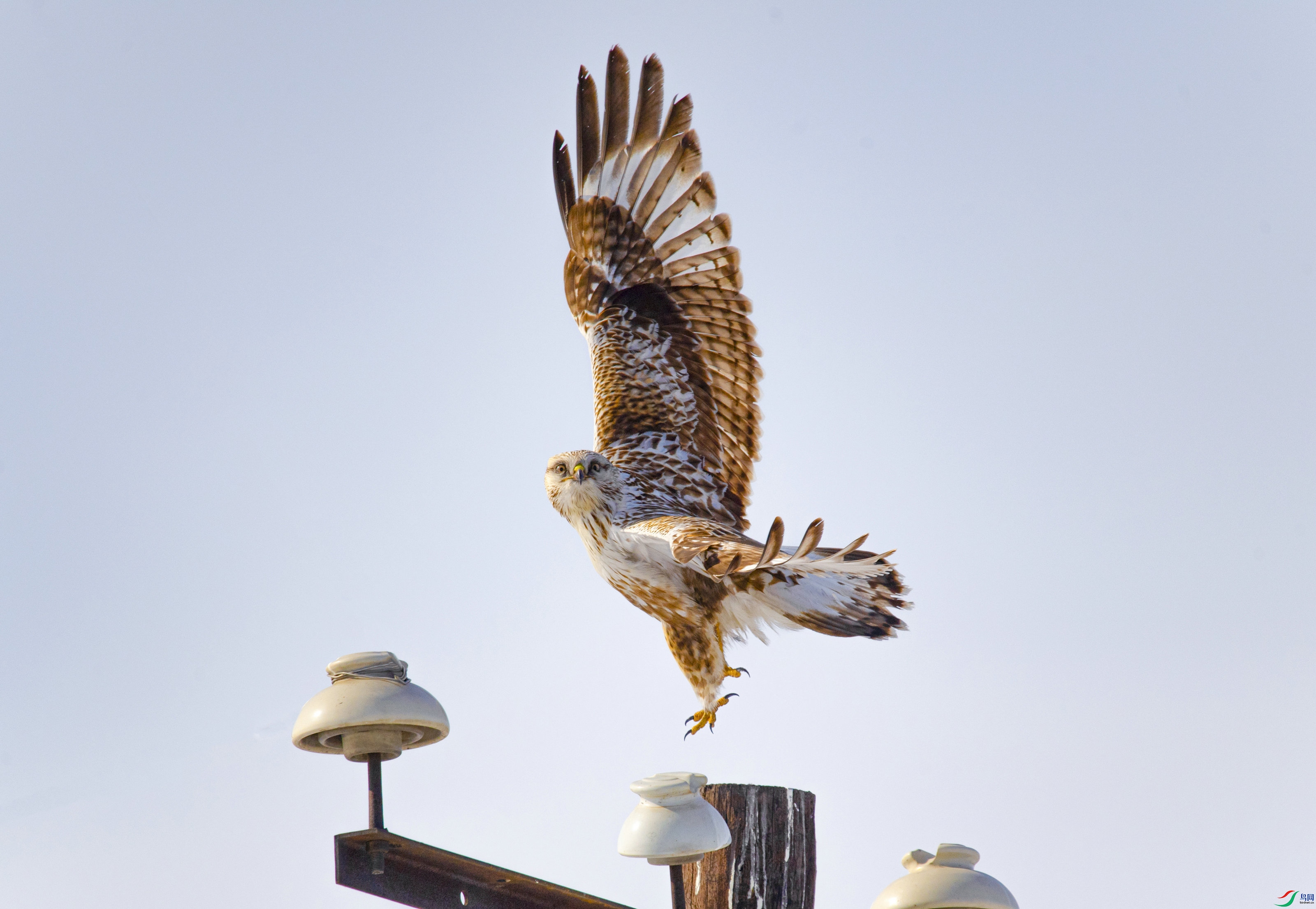 ���߳���