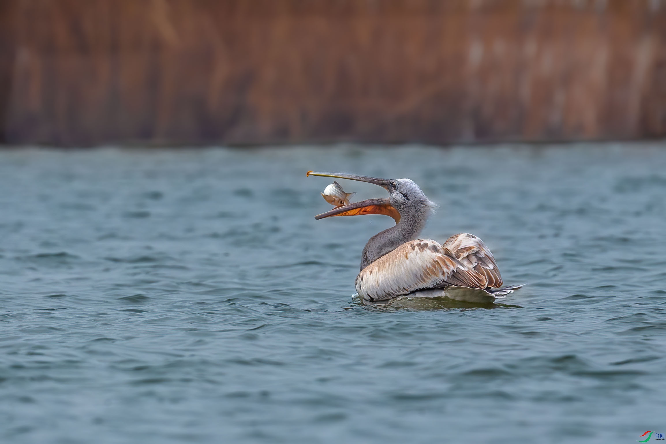 AF9Y5015 ����.jpg