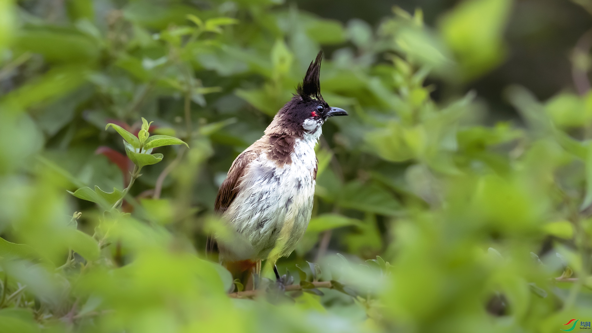 _DSC7871 ����-1.jpg