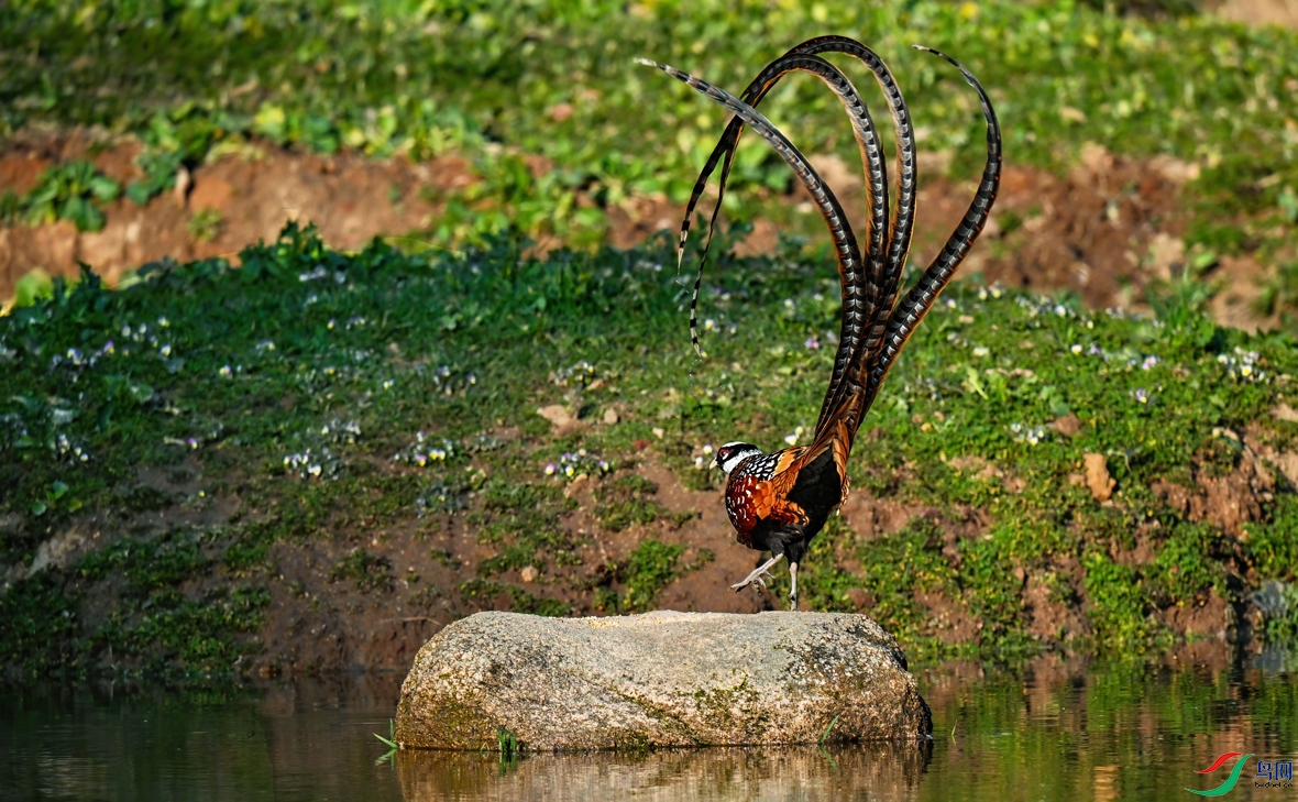 DSC_6426.jpg