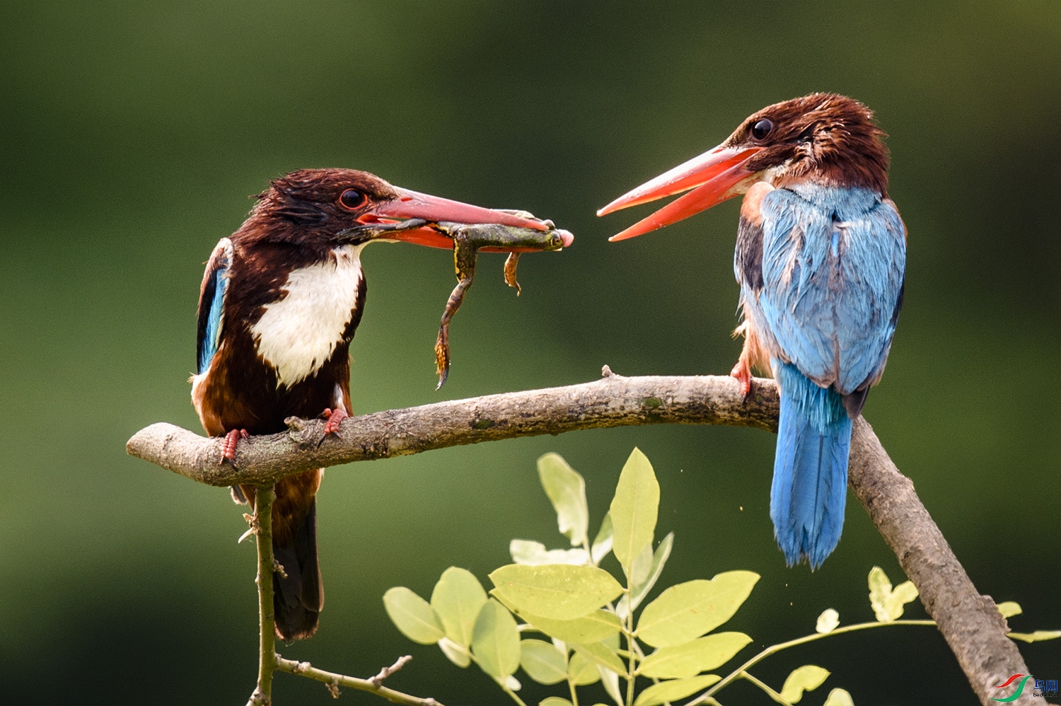 XSX_5545 ����.jpg