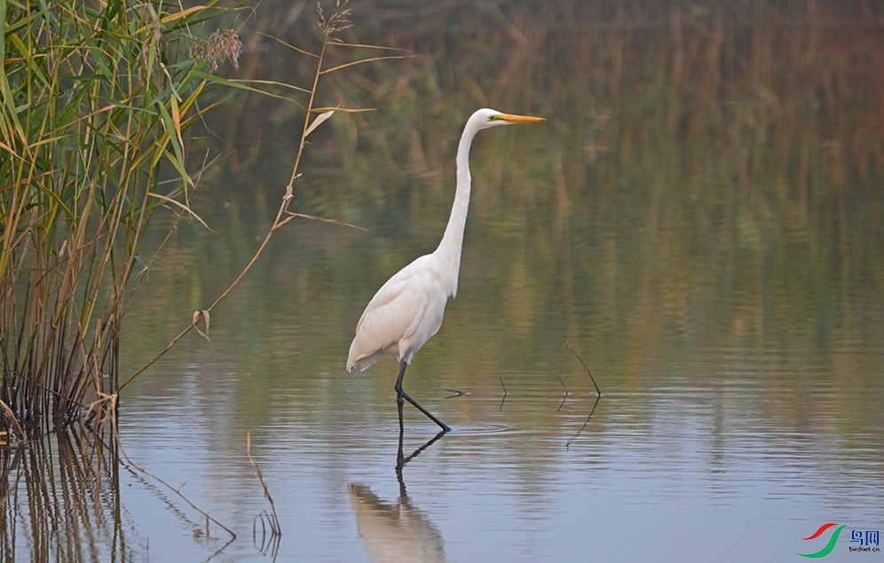 DSC_011322.jpg