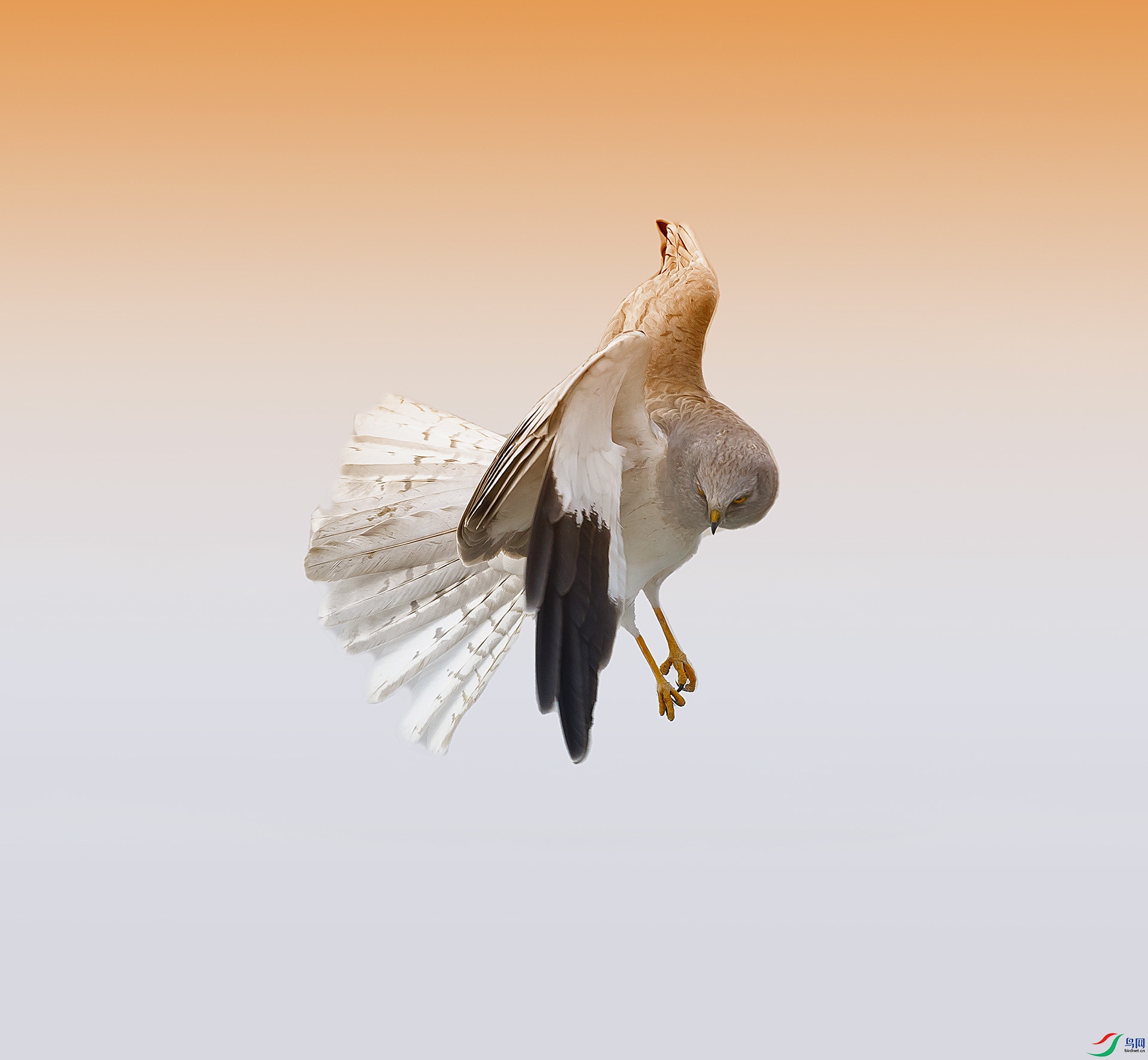 019A8519 ����.jpg