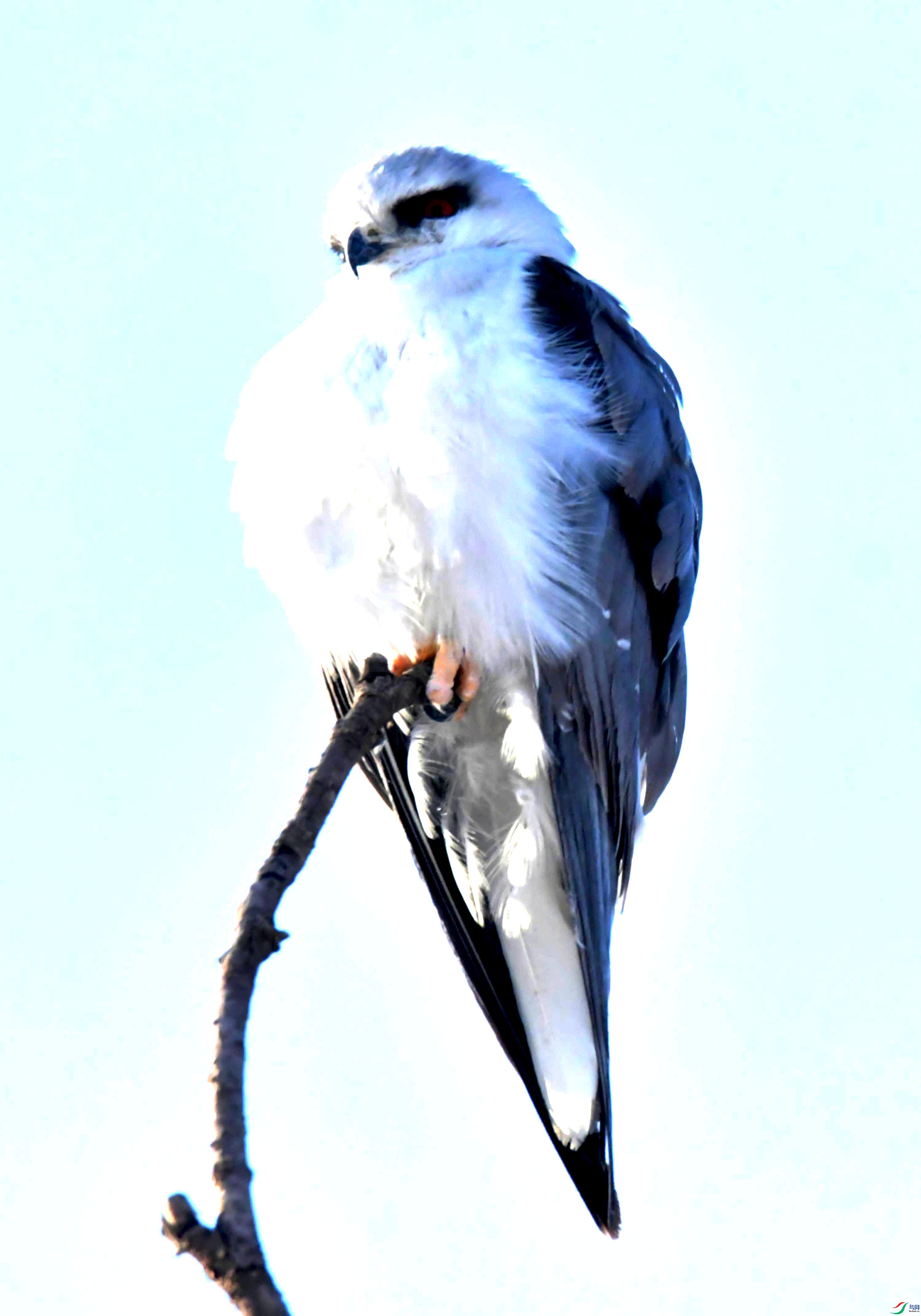 DSC_2098.JPG