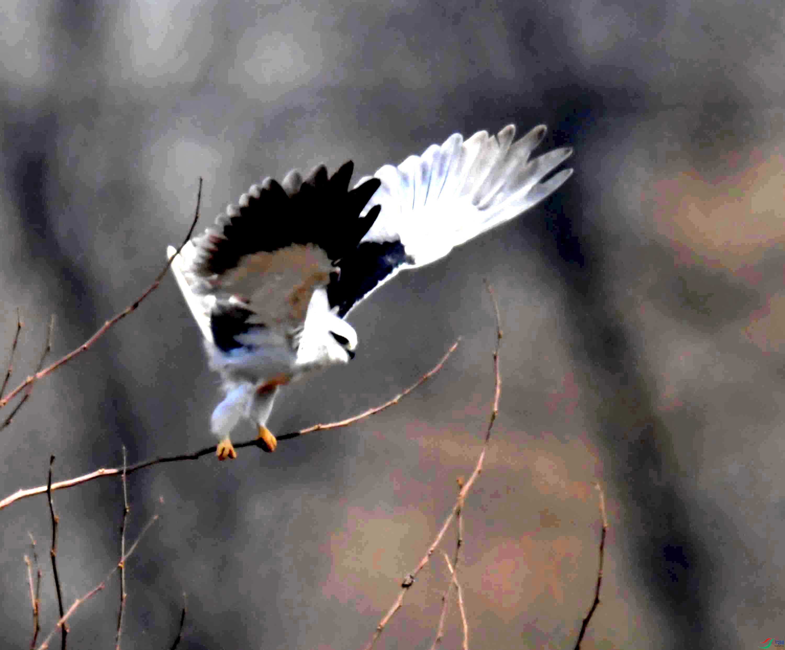 DSC_3945.JPG